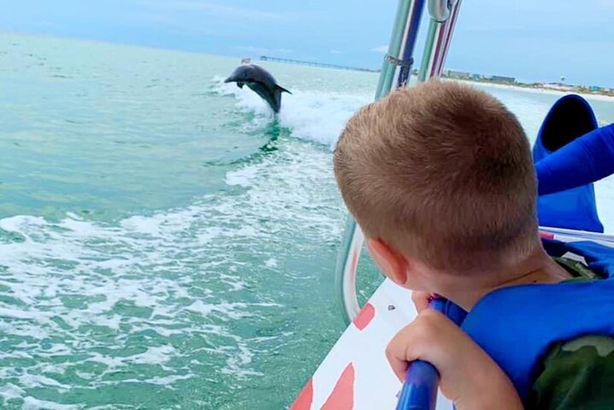 Destin Dolphin-Watching Speedboat Cruise