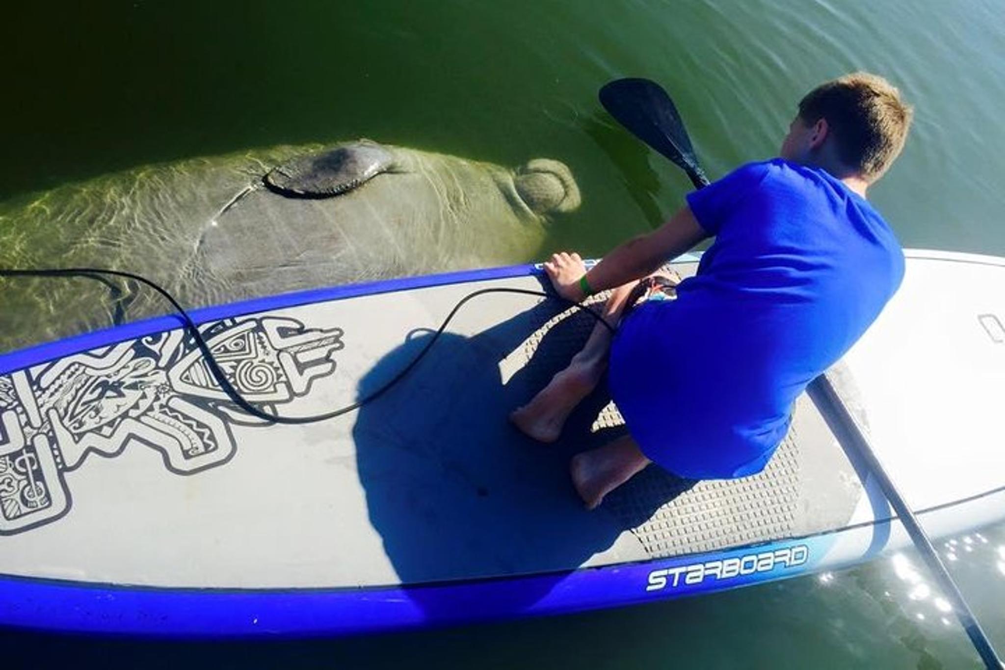 Banana River Eco Paddle Tour