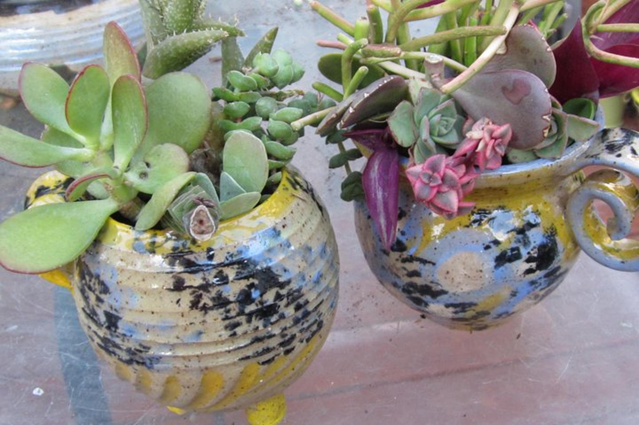 Ojai Pottery Workshop and Studio Tour 2 hr - Image 5