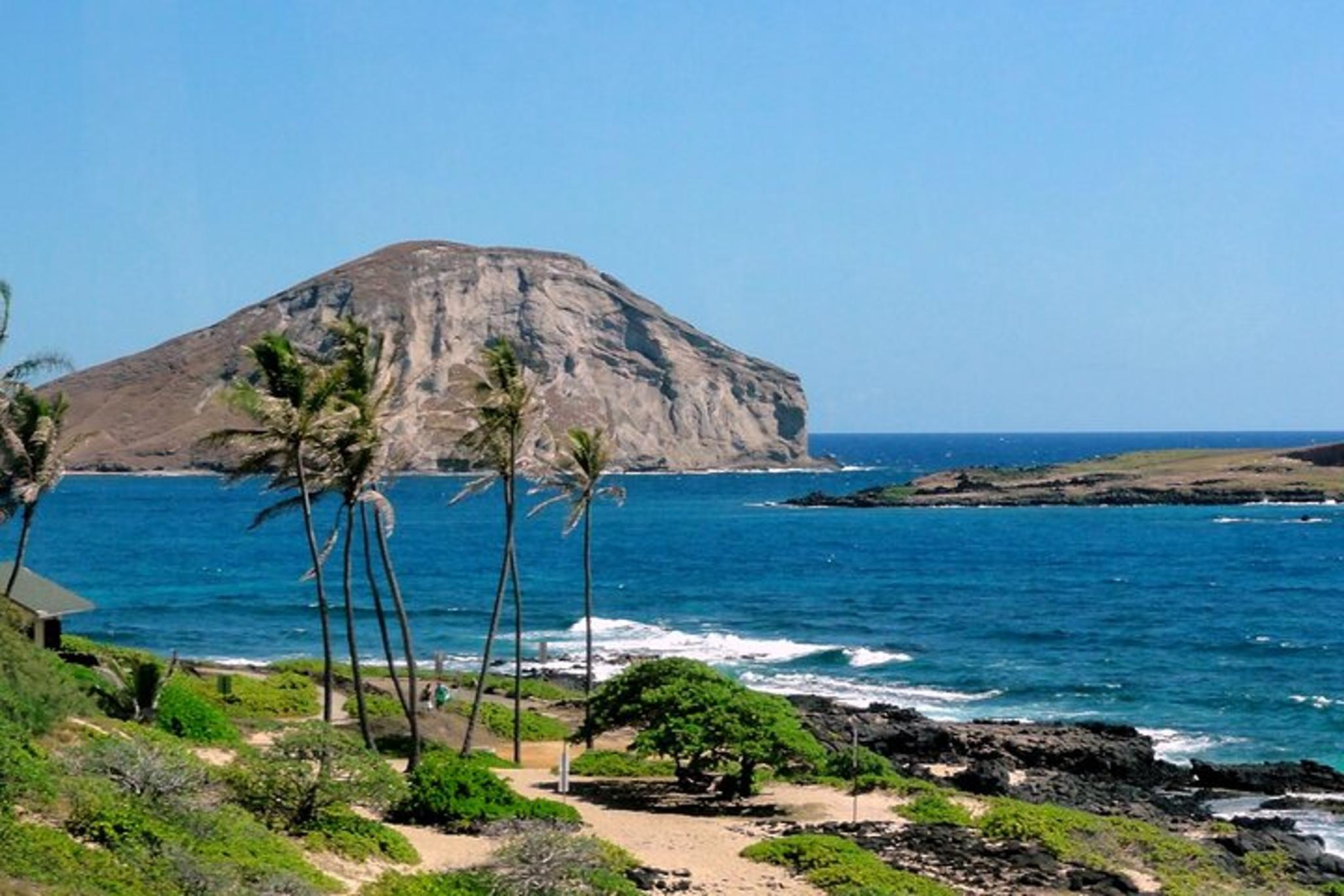 Oahu Private South Shore Tour with Local Guide - Image 5
