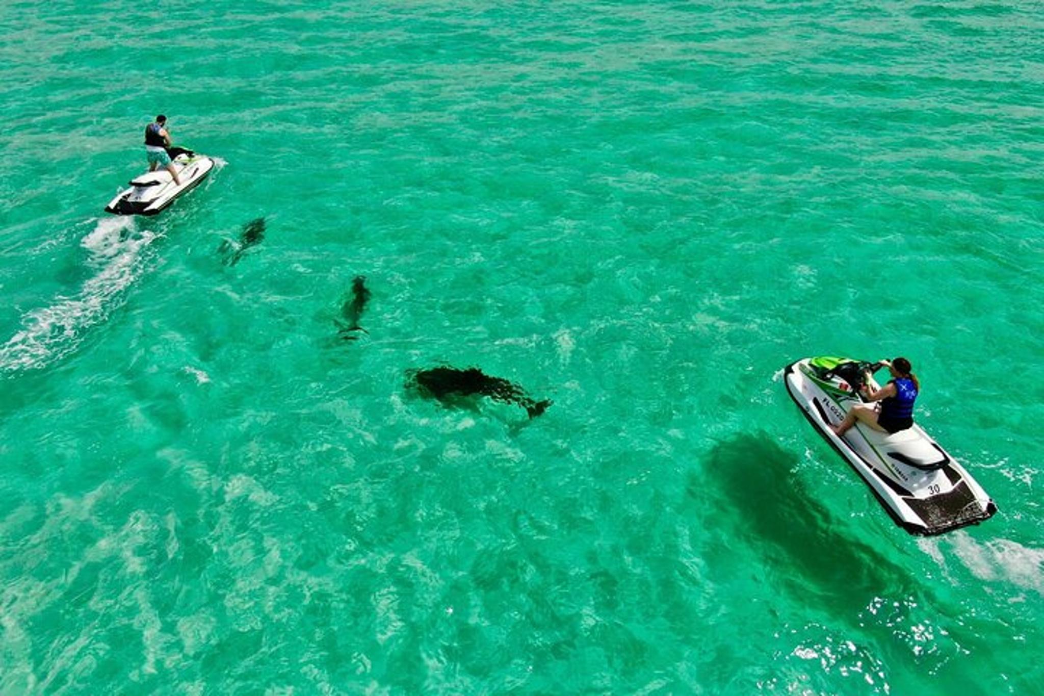 Destin Jet Ski Dolphin Tour - Image 5
