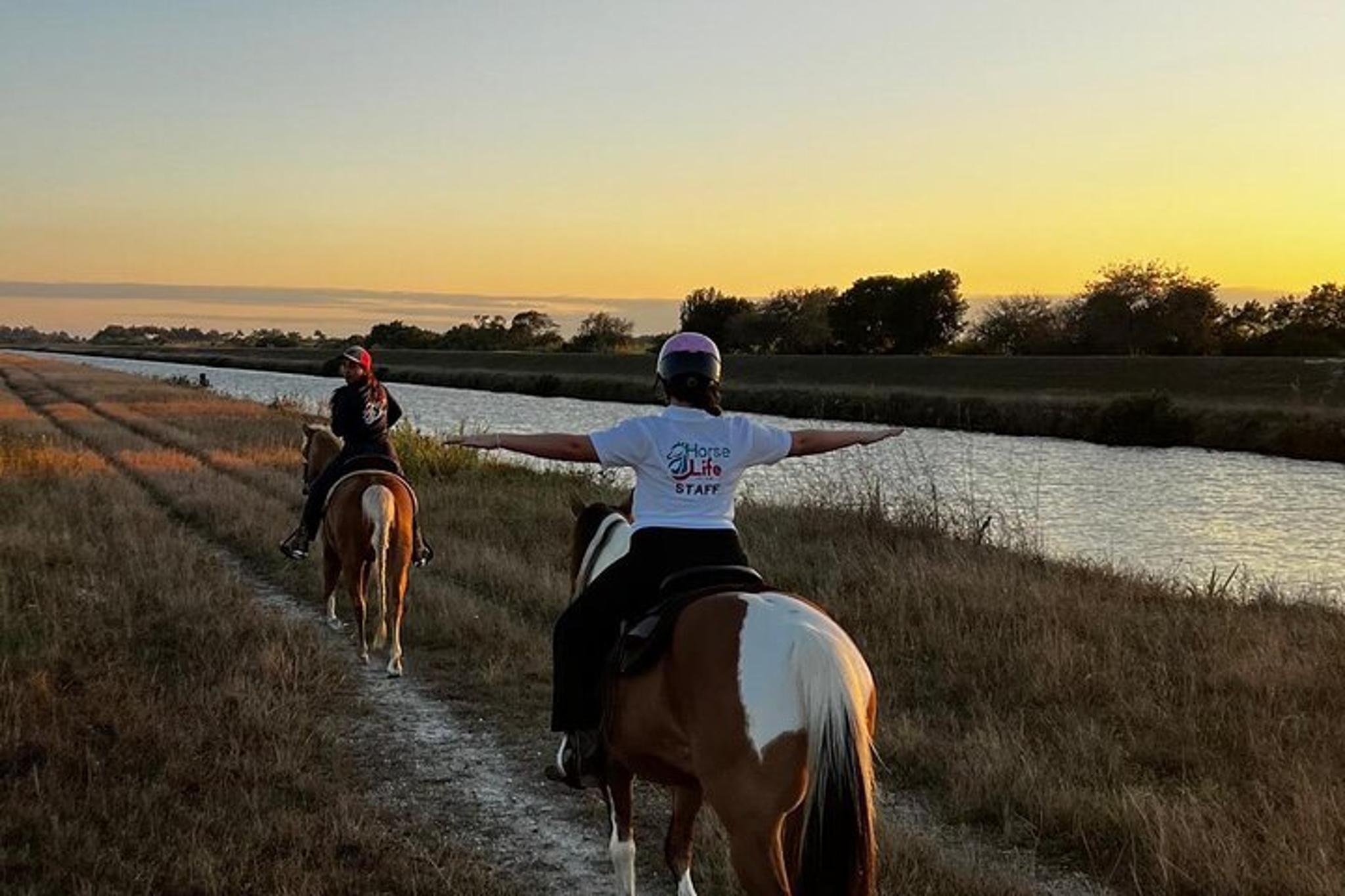 Miami Horseback Riding Experience - Image 3