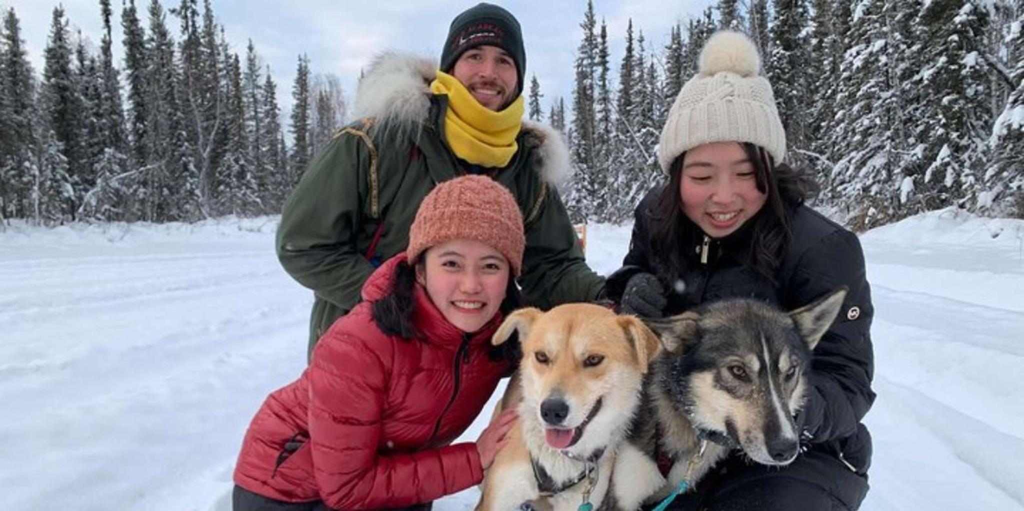 Fairbanks Dog Sledding and Mushing Experience