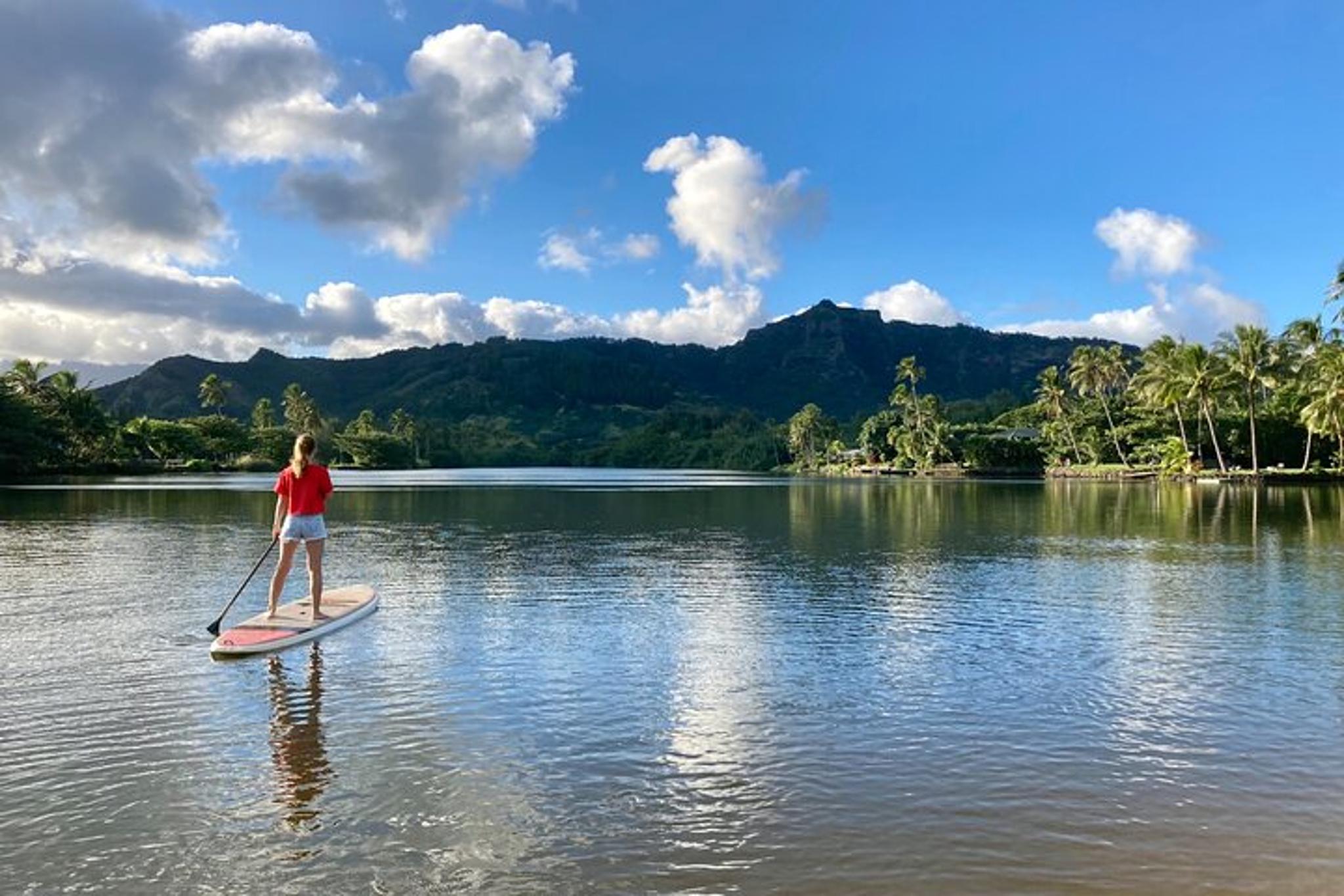 Wailua River Stand Up Paddle Rental - Image 5