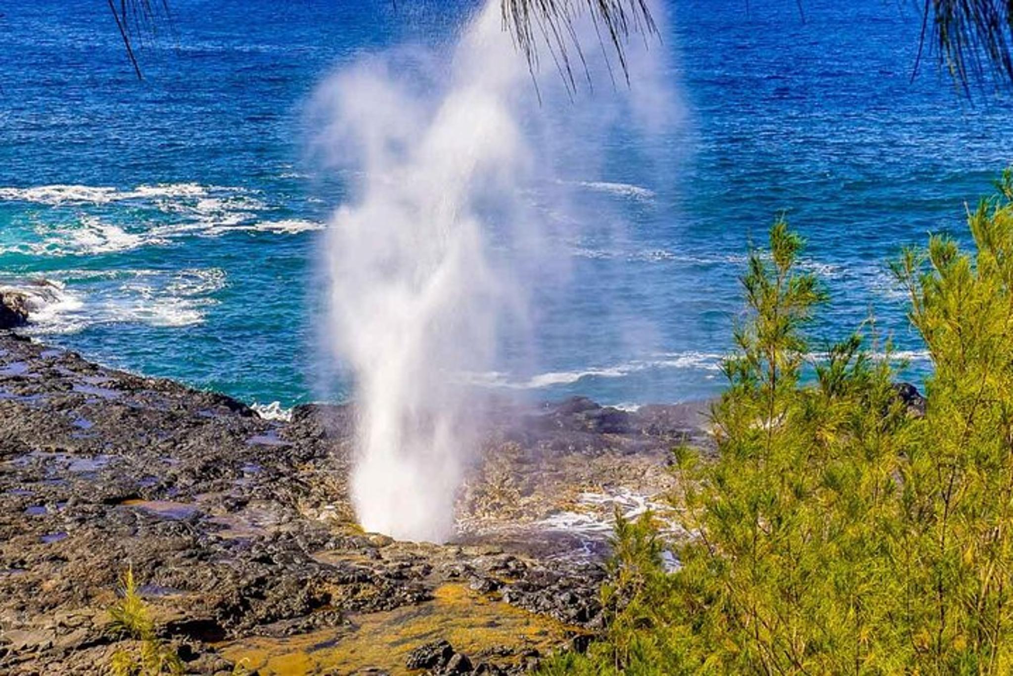 Poipu Sea Kayak Tour with Snorkeling - Image 3