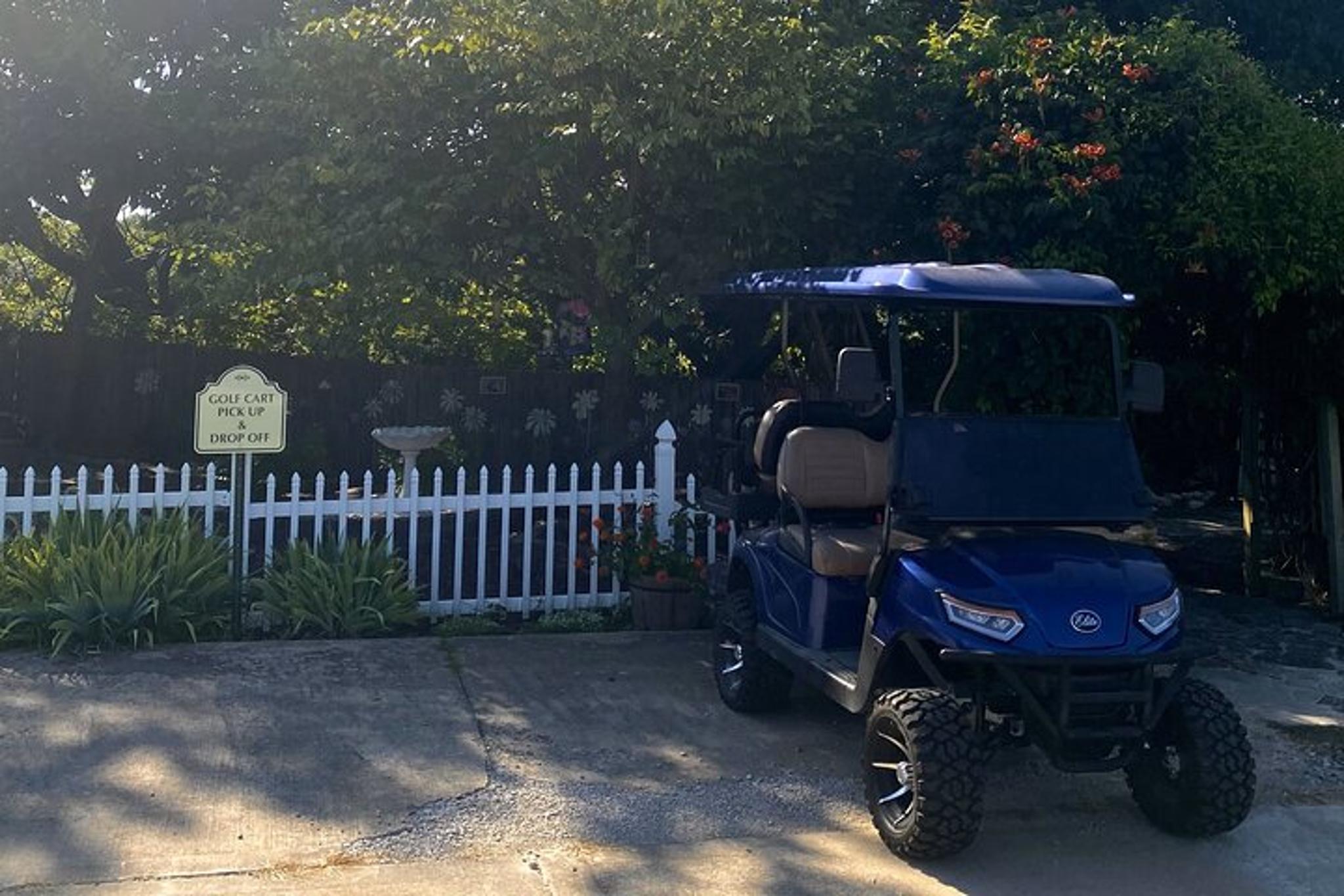 Branson Cart Adventure - Image 2