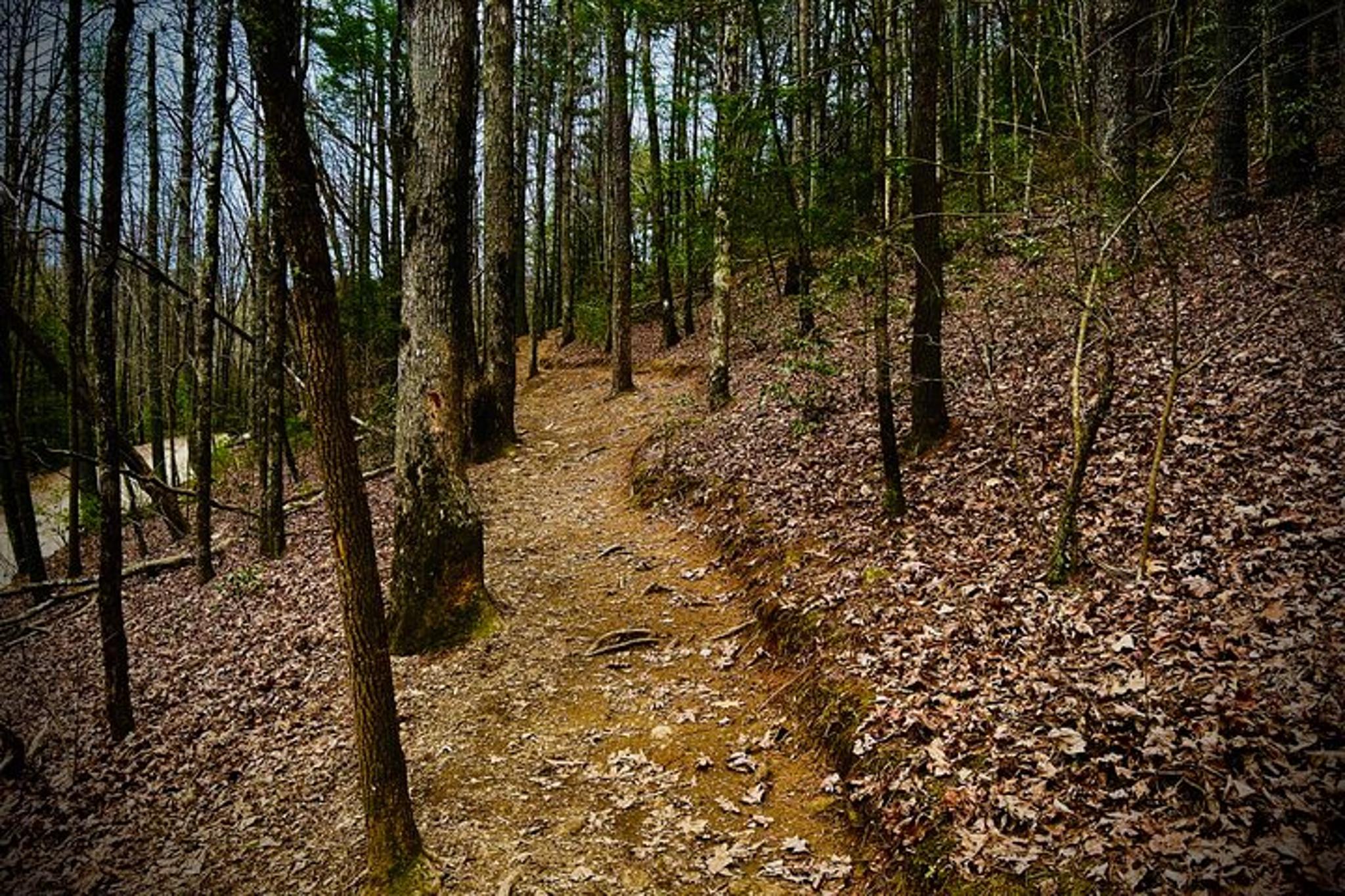 Atlanta Hike and Wine Tasting Tour - Image 6