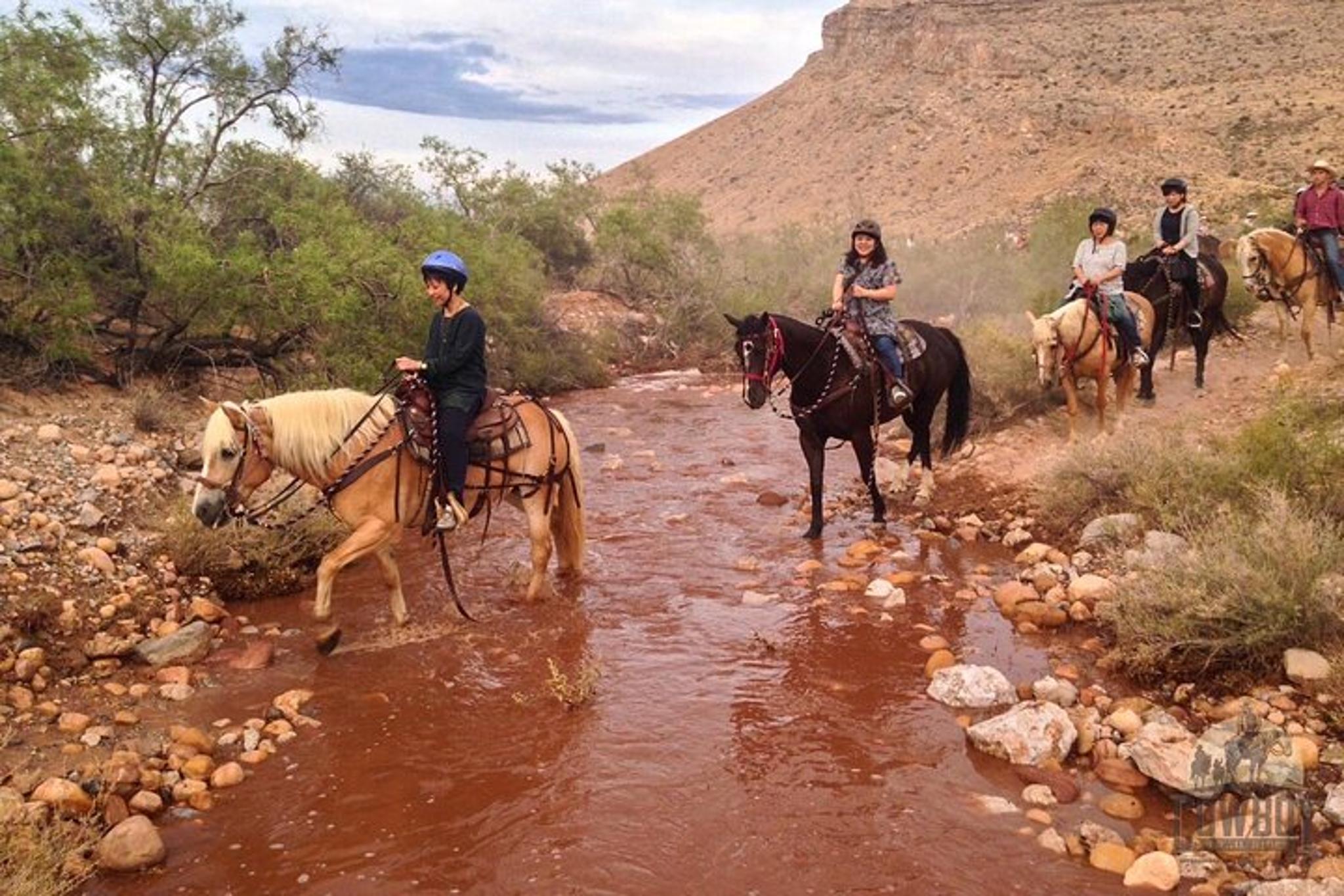 Las Vegas Horseback Ride and BBQ Dinner at Sunset - Image 6
