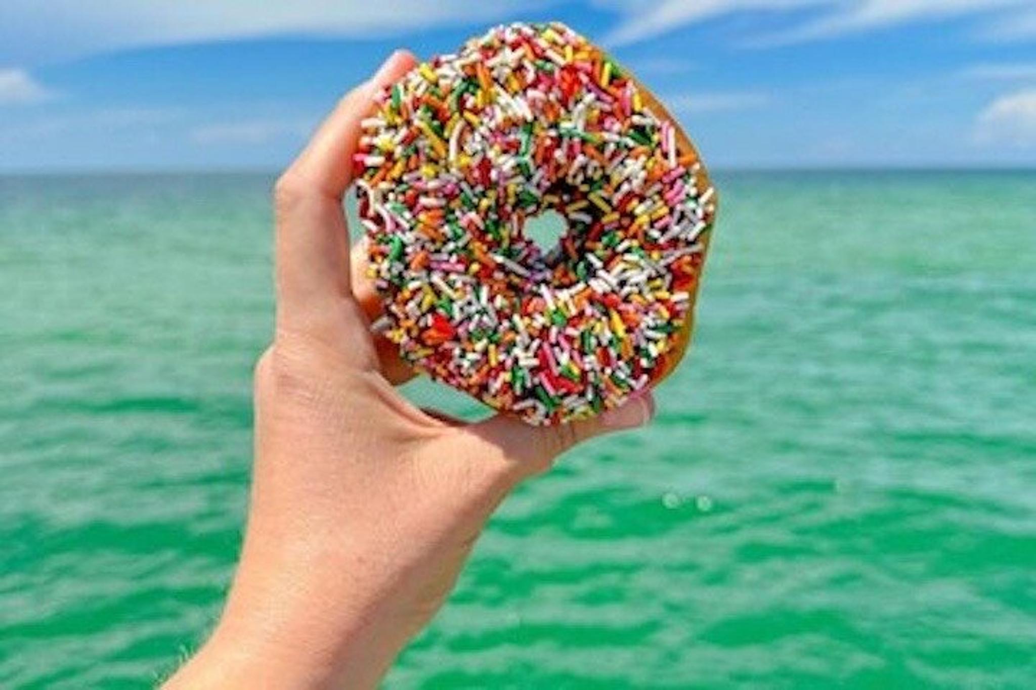 Hilton Head Dolphin Watching Cruise with Donuts - Image 5