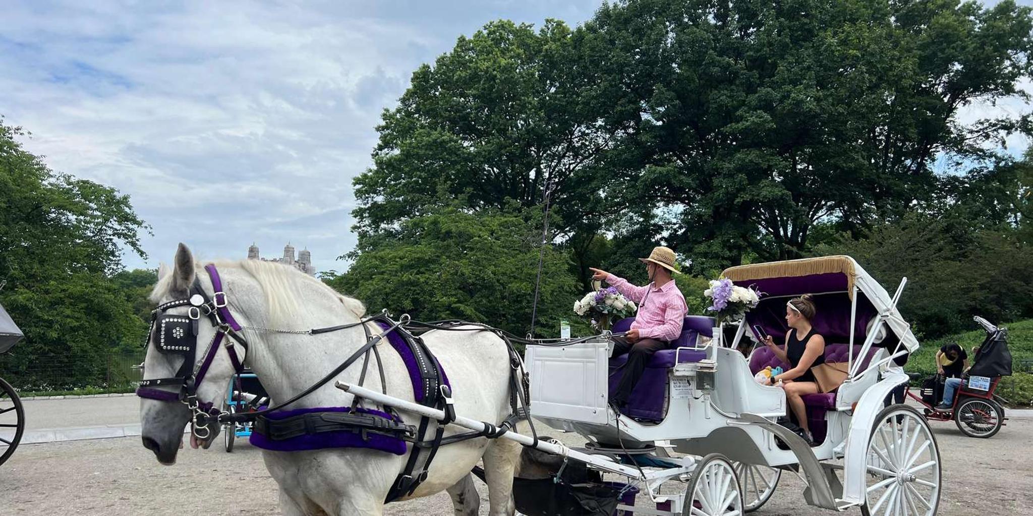 New York Central Park Carriage Ride - Image 5