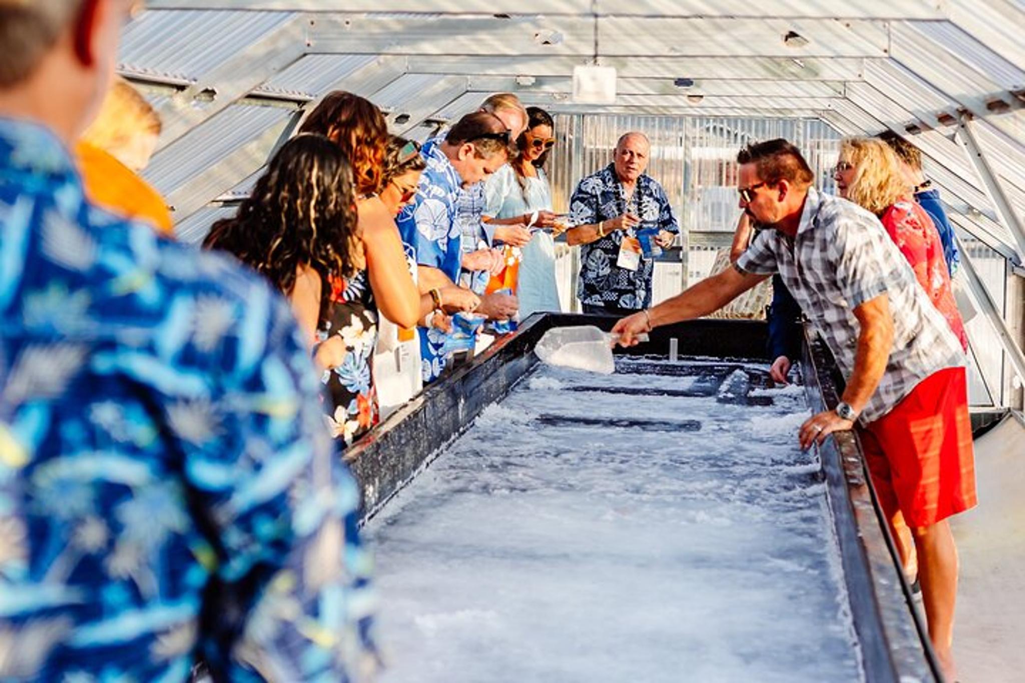 Kona Salt Farm Tour - Image 4