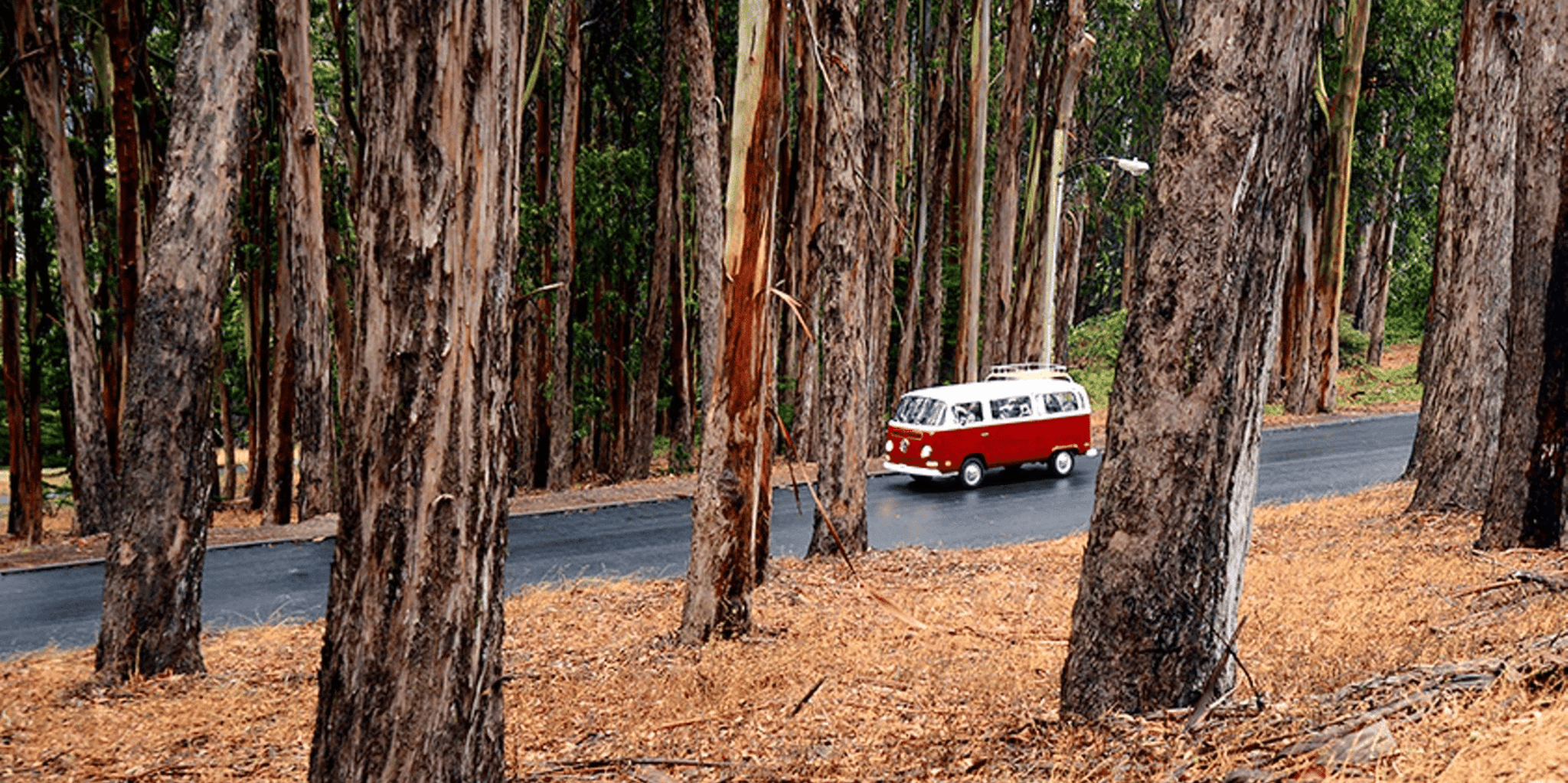 San Francisco VW Bus City Tour 3 hr - Image 2