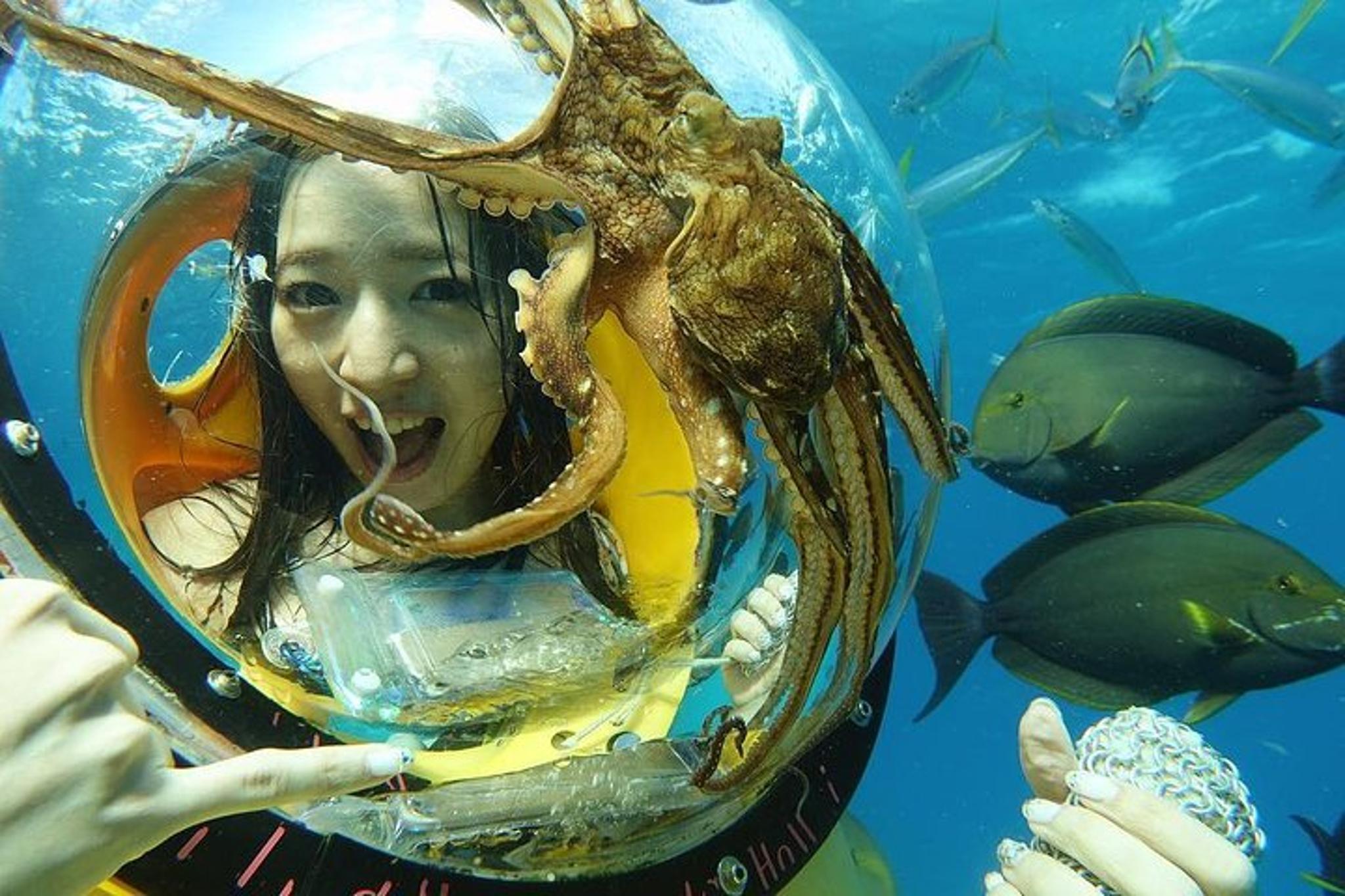 Oahu Submarine Scooter Adventure - Image 4