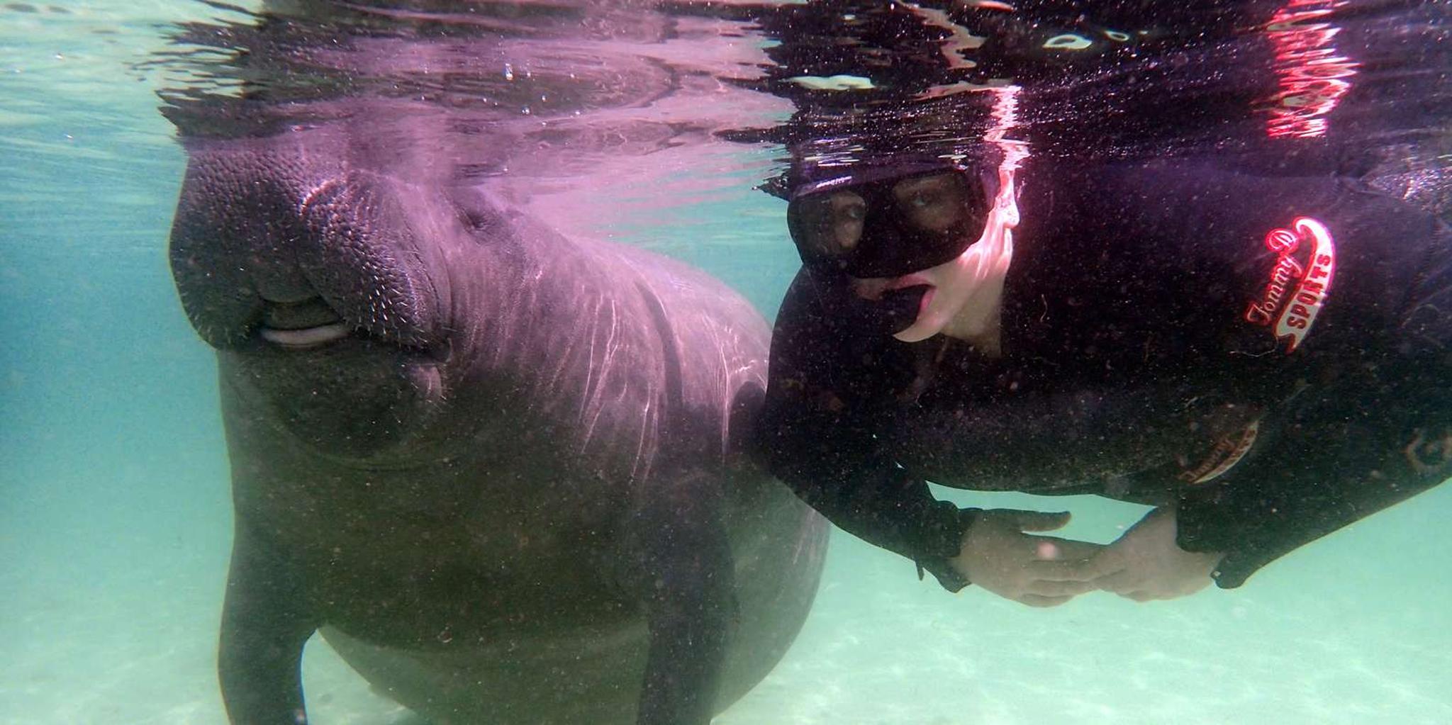 Crystal River Snorkel with Manatees and Airboat Adventure - Image 5