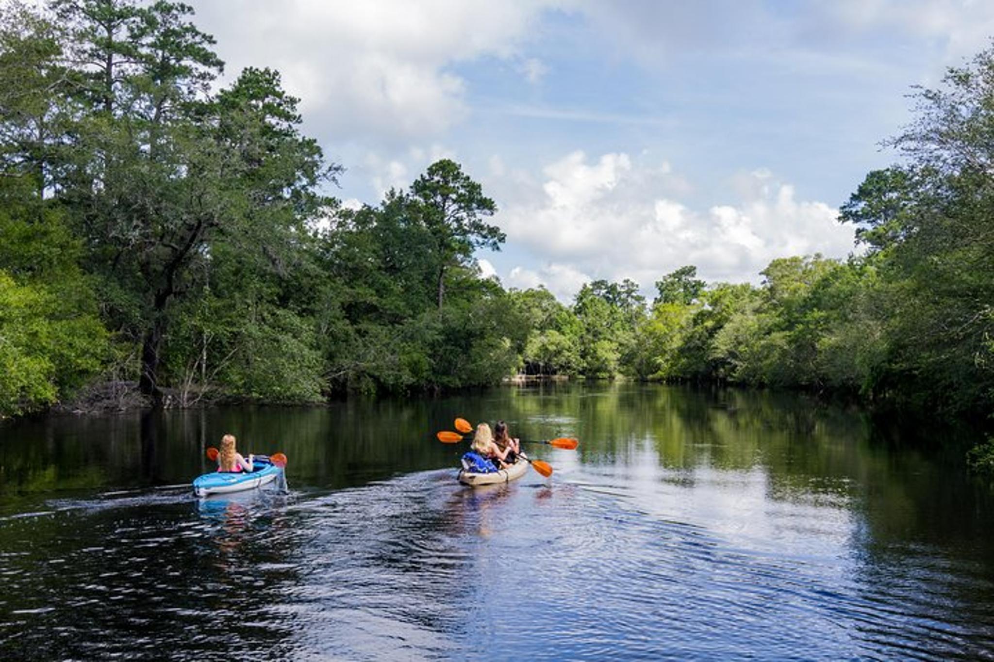Myrtle Beach Kayak and Treehouse Adventure - Image 5