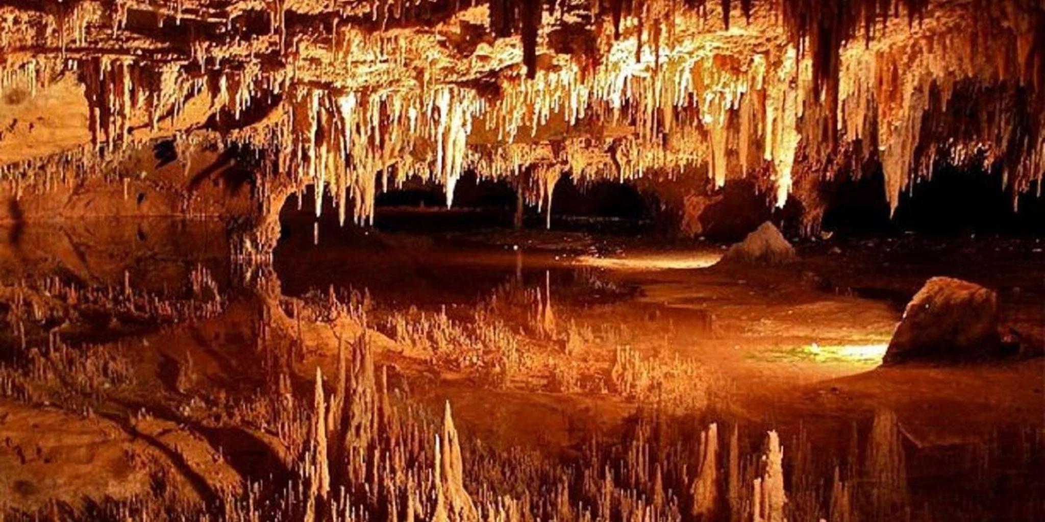 Washington D.C. Shenandoah and Luray Caverns Tour
