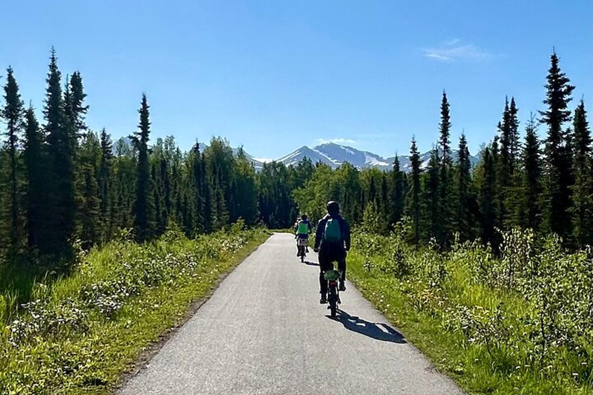 Anchorage eBike Public Art Tour - Image 4