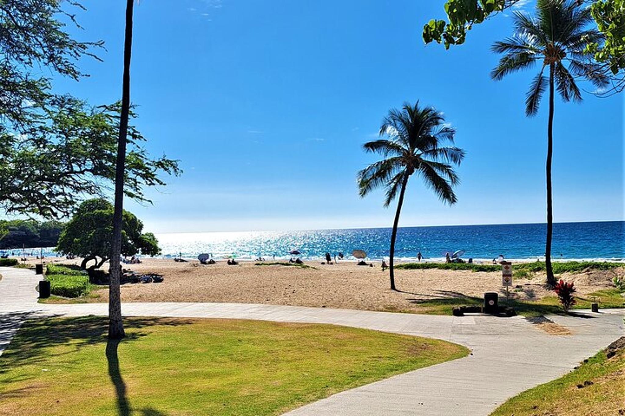 Hapuna Beach and Hawi Private Tour - Image 1