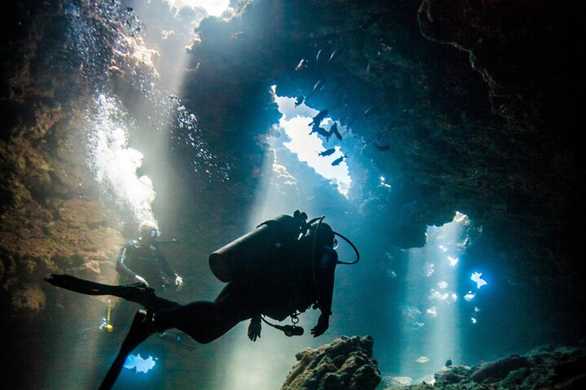 Lanai Cathedral Scuba Dive Via Boat