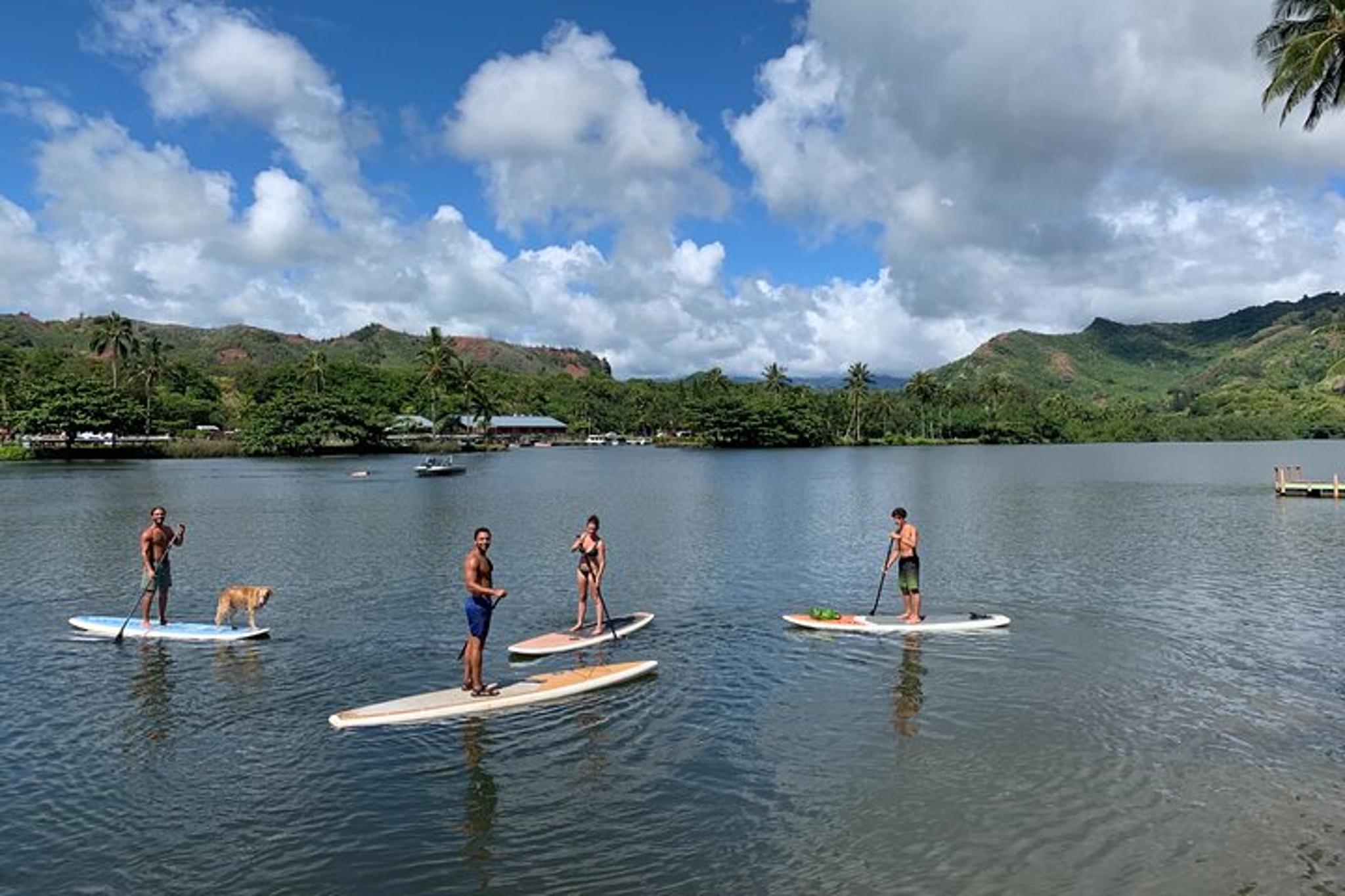 Wailua River Stand Up Paddle Rental - Image 4