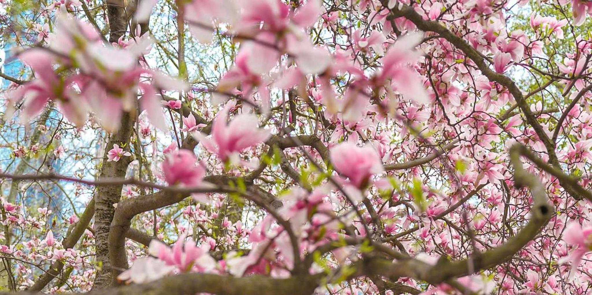 New York City Flying Dress Photo Shoot 1 hr - Image 6