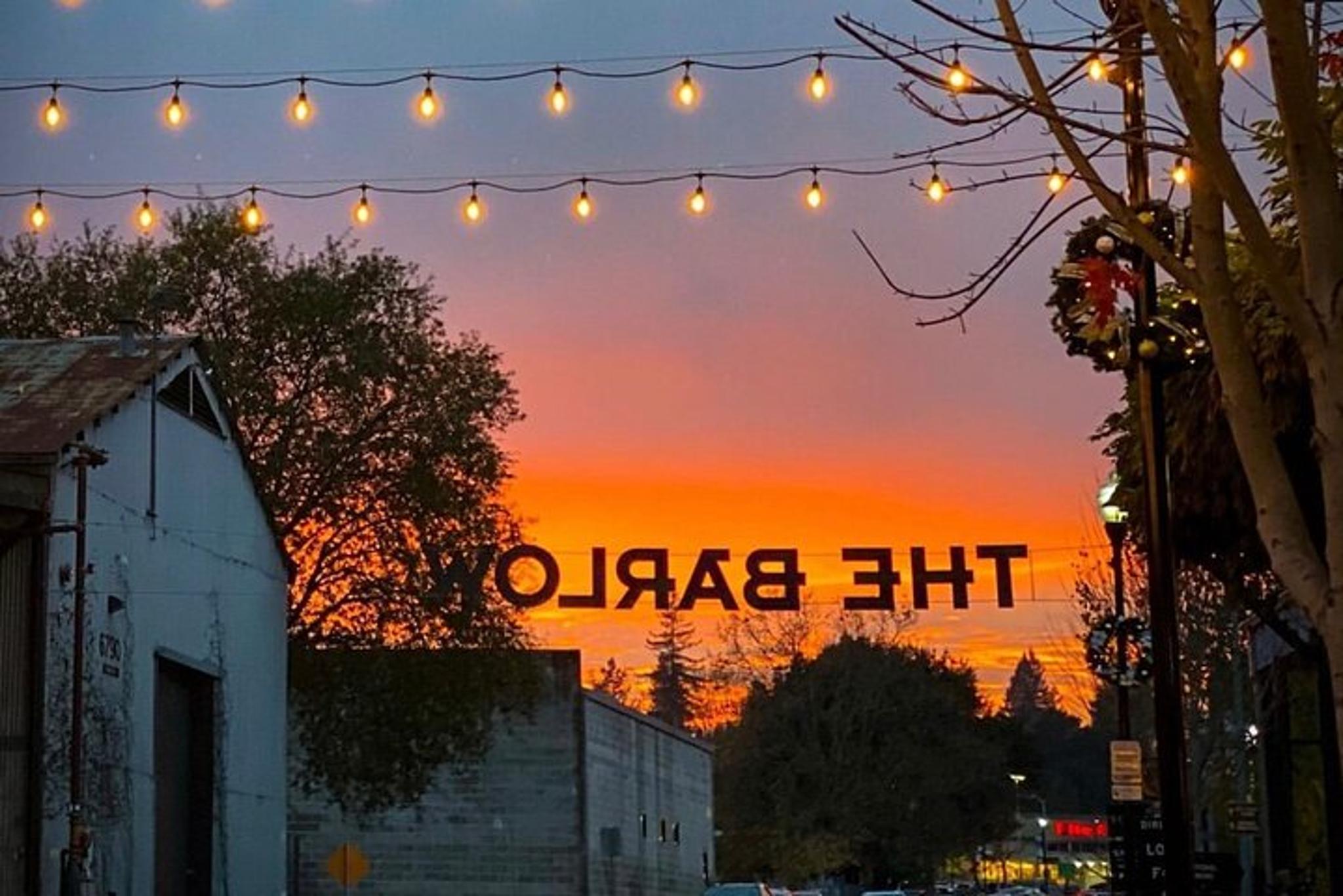 Sebastopol Wine Tasting with Local Sommelière - Image 5