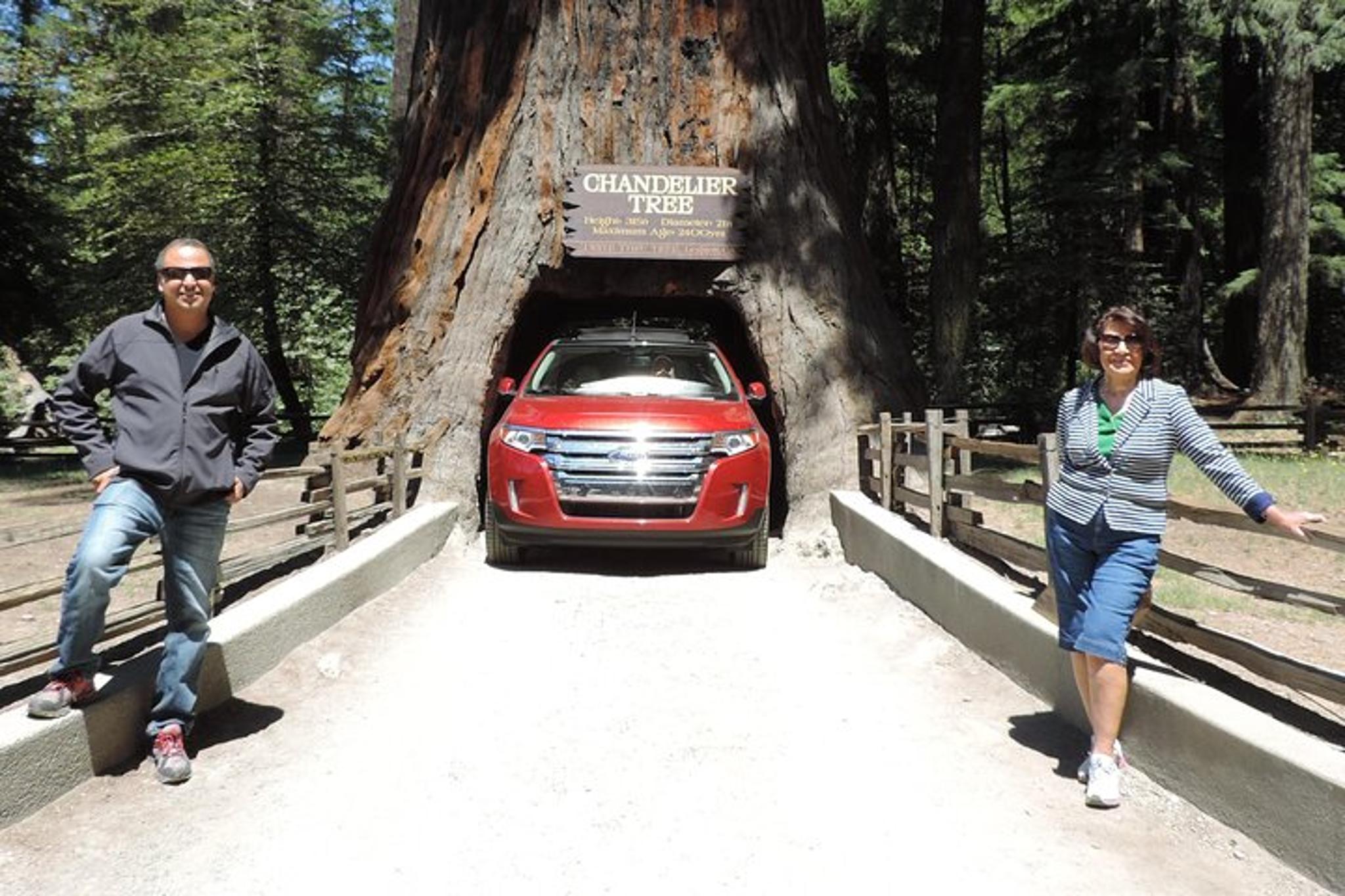 Redwood National Park Private Tour 3-Day Package - Image 3