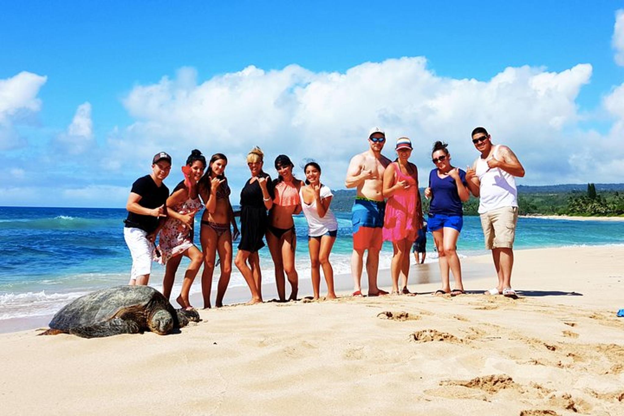 O'ahu Private Tour with Local Expert 9 hr