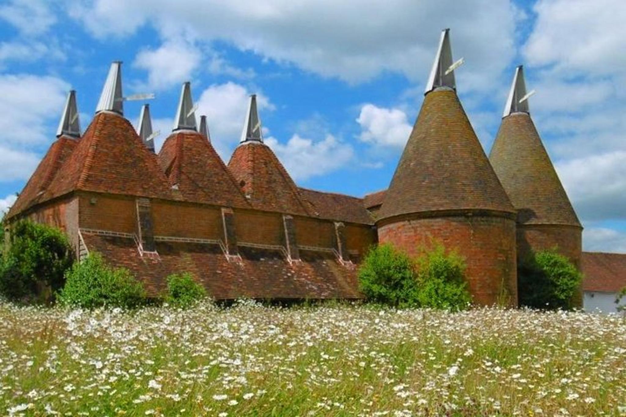 Russian River Valley & Giant Redwoods Private Tour - Image 3
