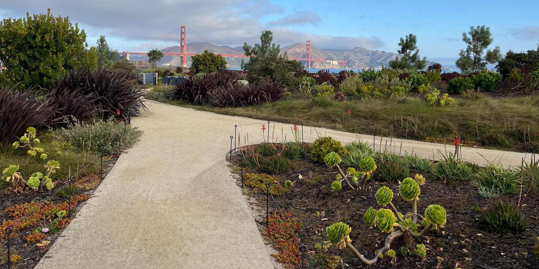 San Francisco Urban Hiking Tour - Image 1