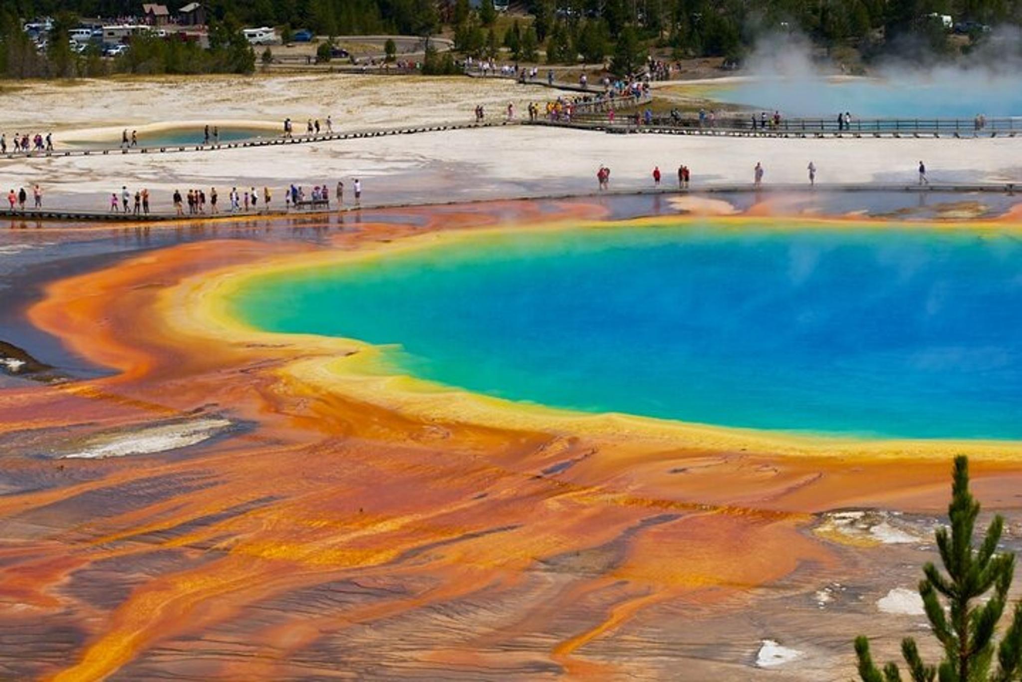 Yellowstone Private Guided Tour