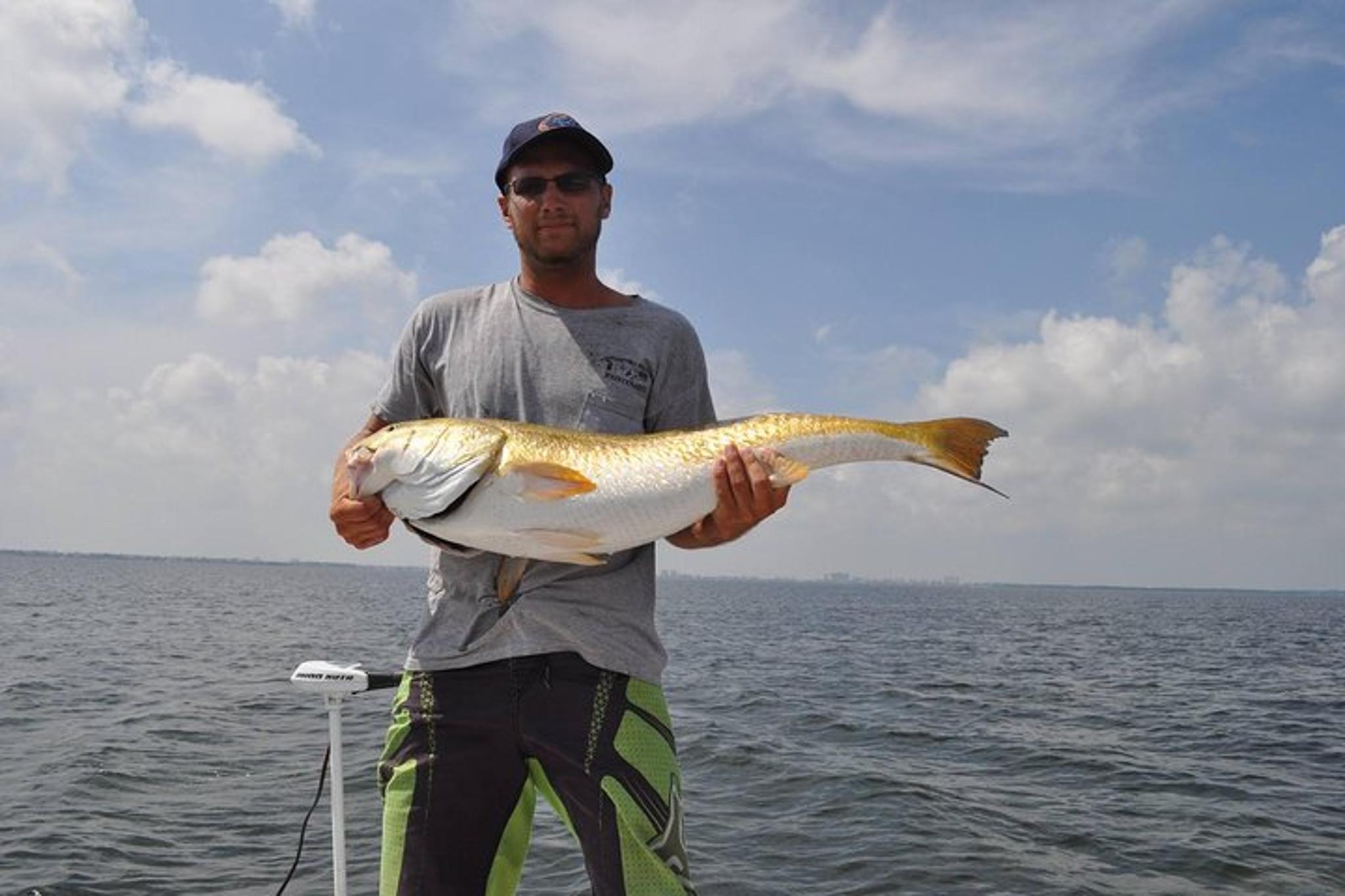 Tampa Fishing Charter with a Native Guide 4 hr - Image 4