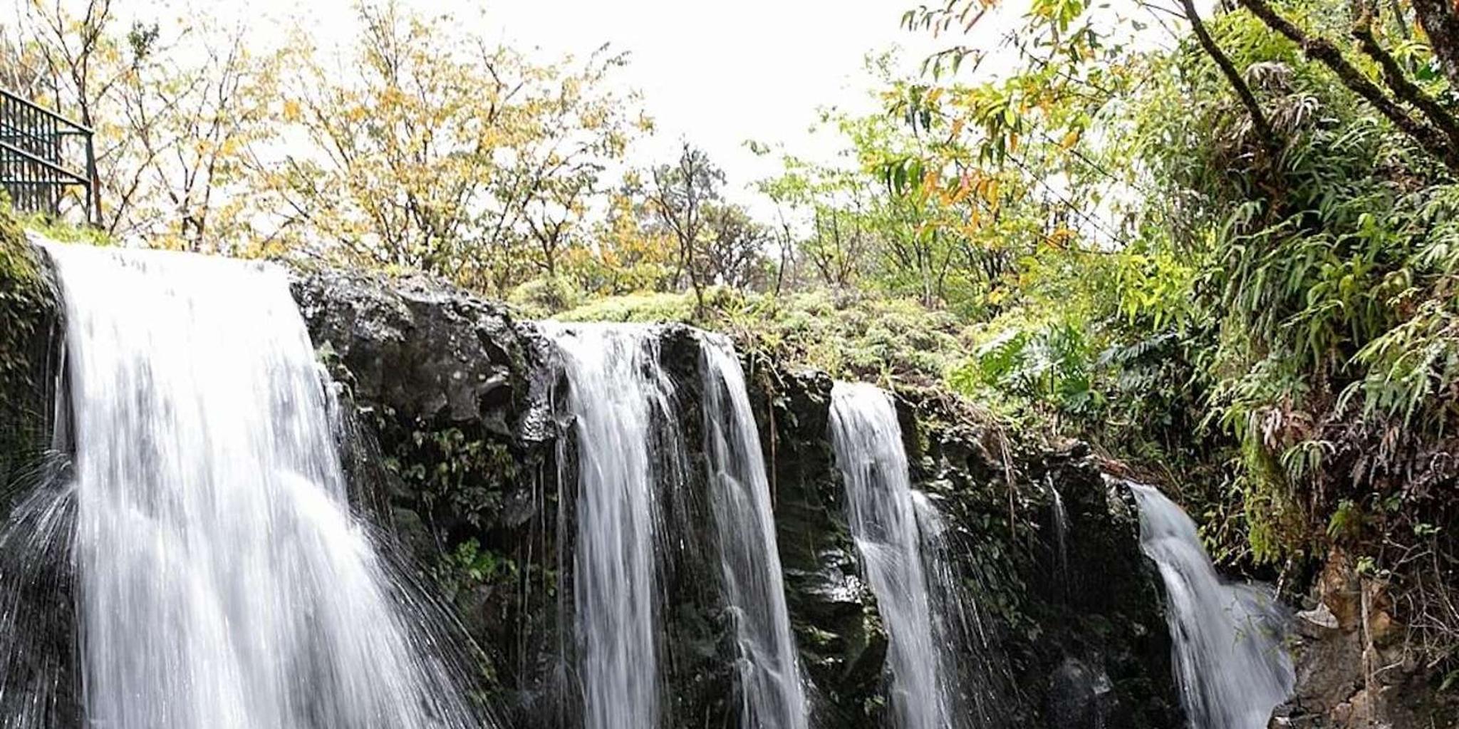 Maui Road to Hana Adventure - Image 6