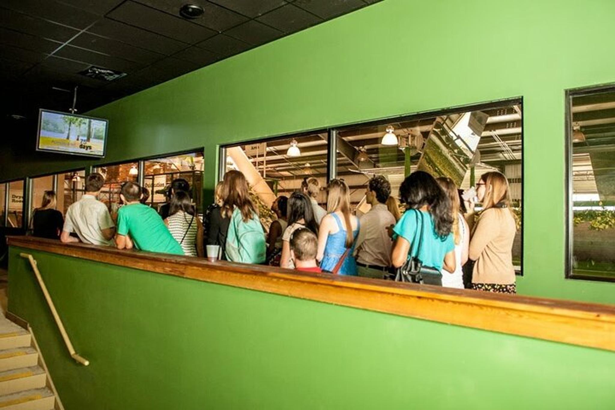 Wadmalaw Island Trolley Tour - Image 5