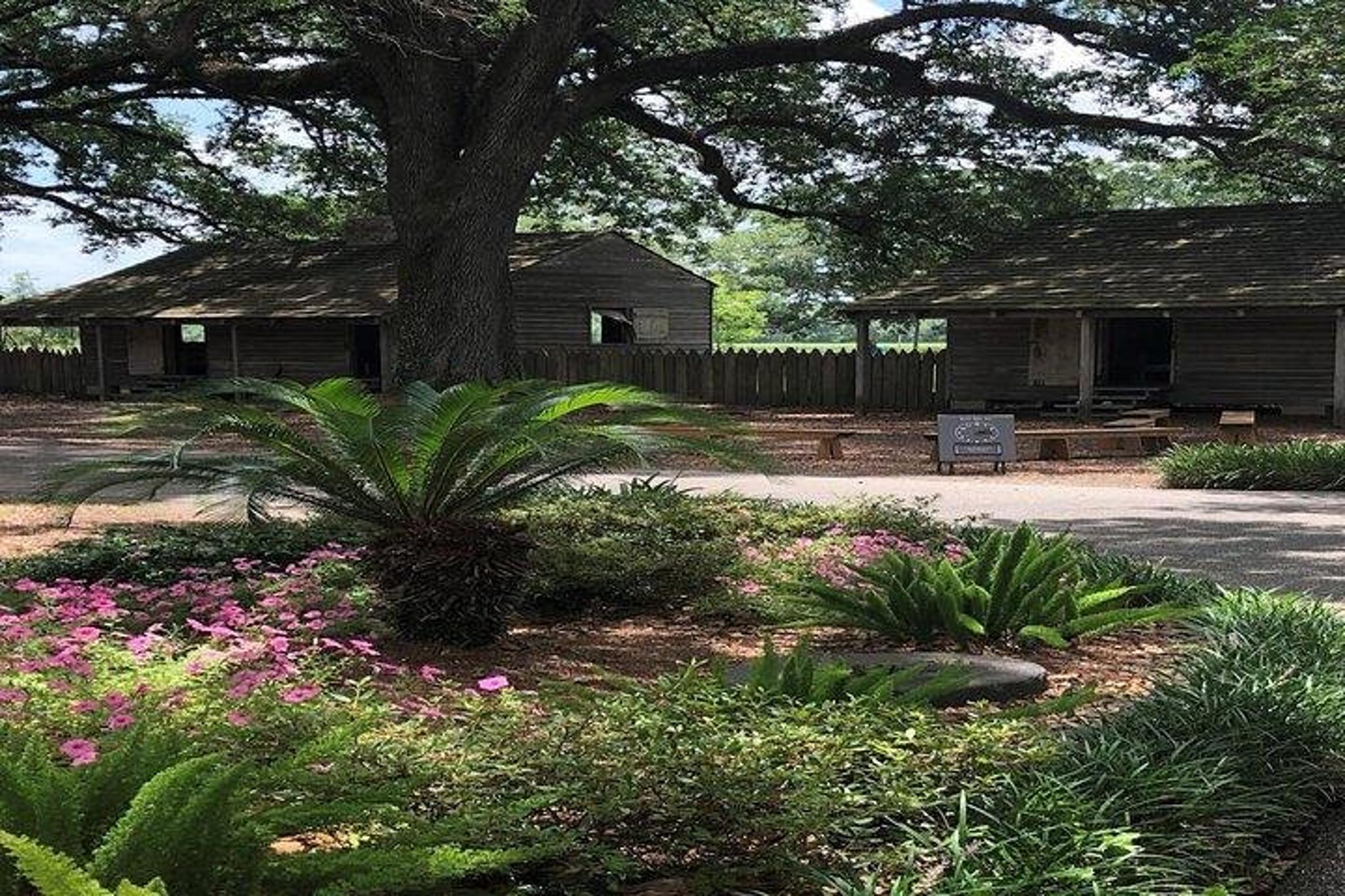 New Orleans Plantation Tour: Laura & Oak Alley - Image 2