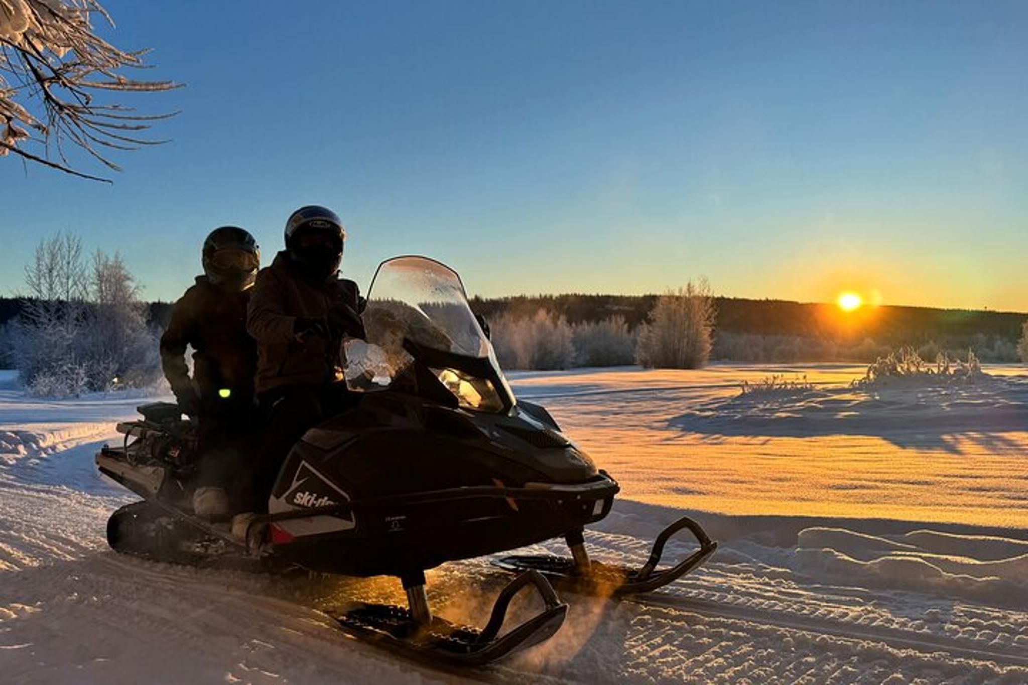 Fairbanks Snowmobile Tour 90 Min - Image 3