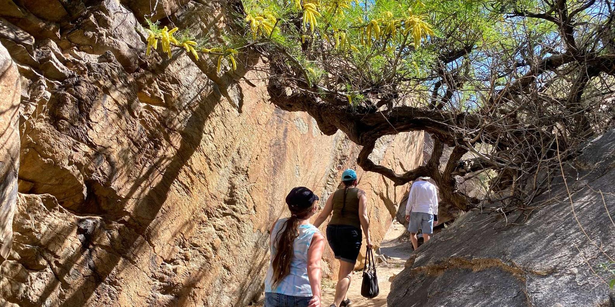Palm Springs Indian Canyons Jeep and Hiking Tour - Image 2