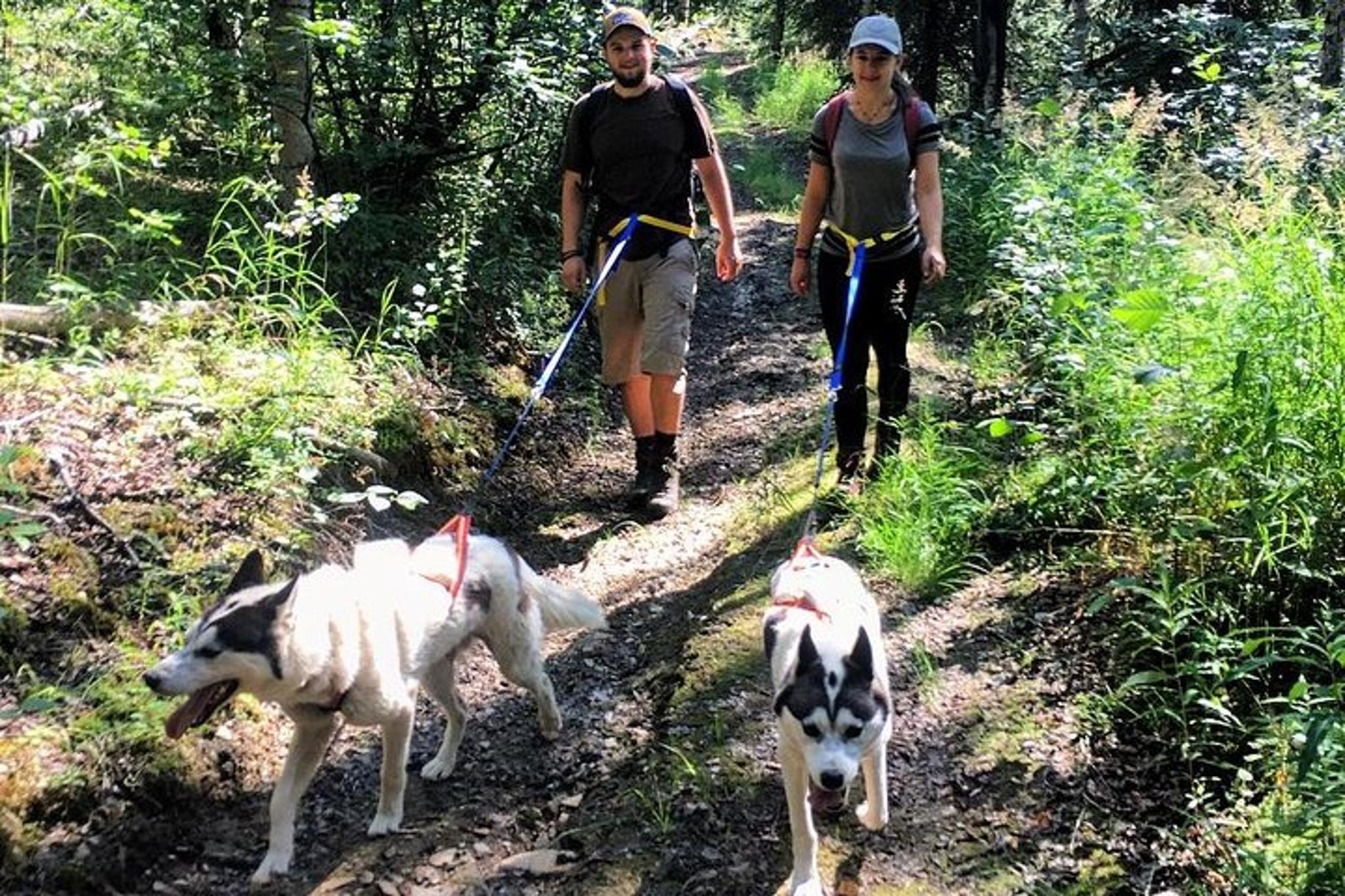 Fairbanks Husky Hiking Tour - Image 6