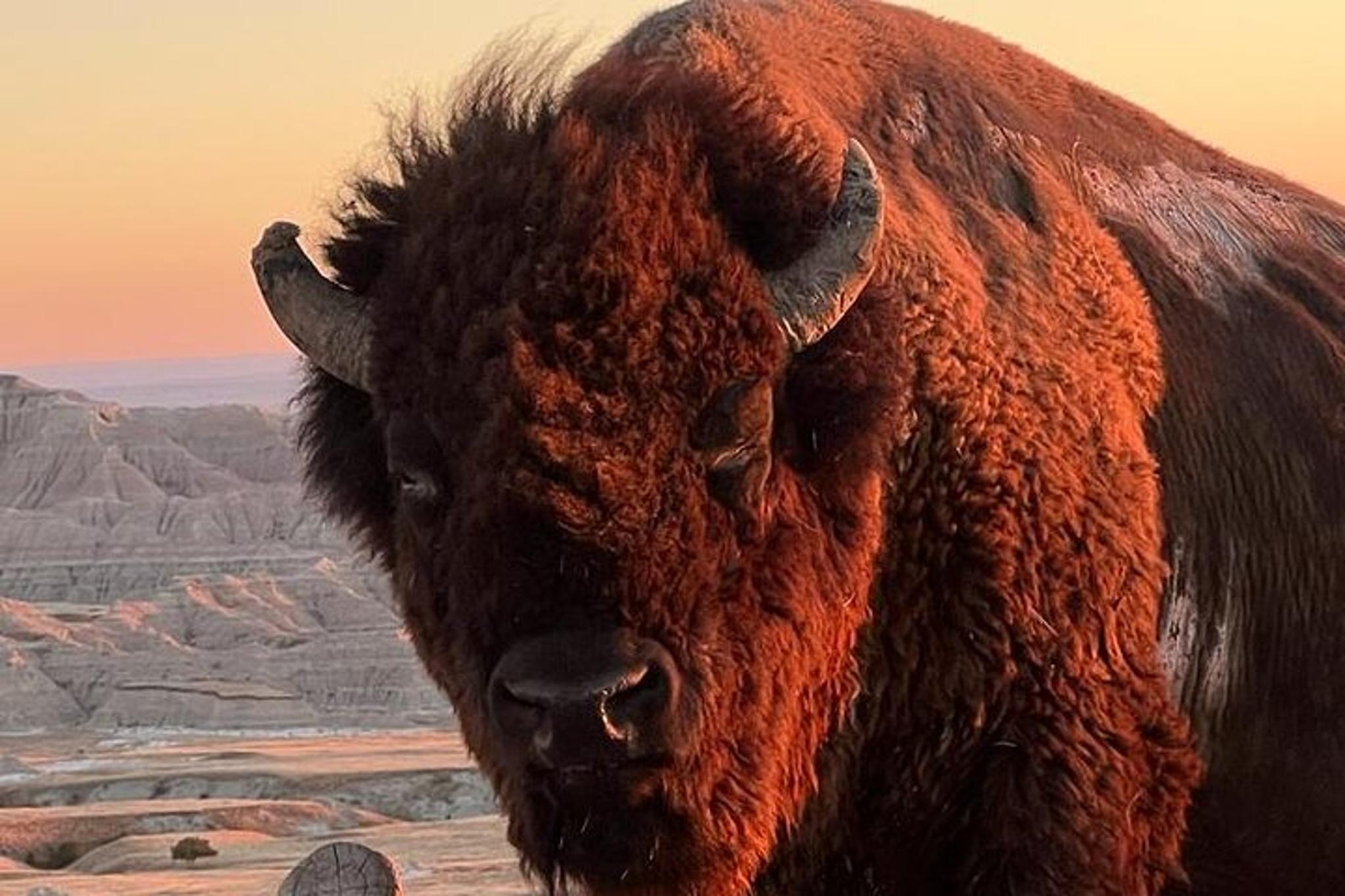 Badlands Sunrise Tour - Image 2