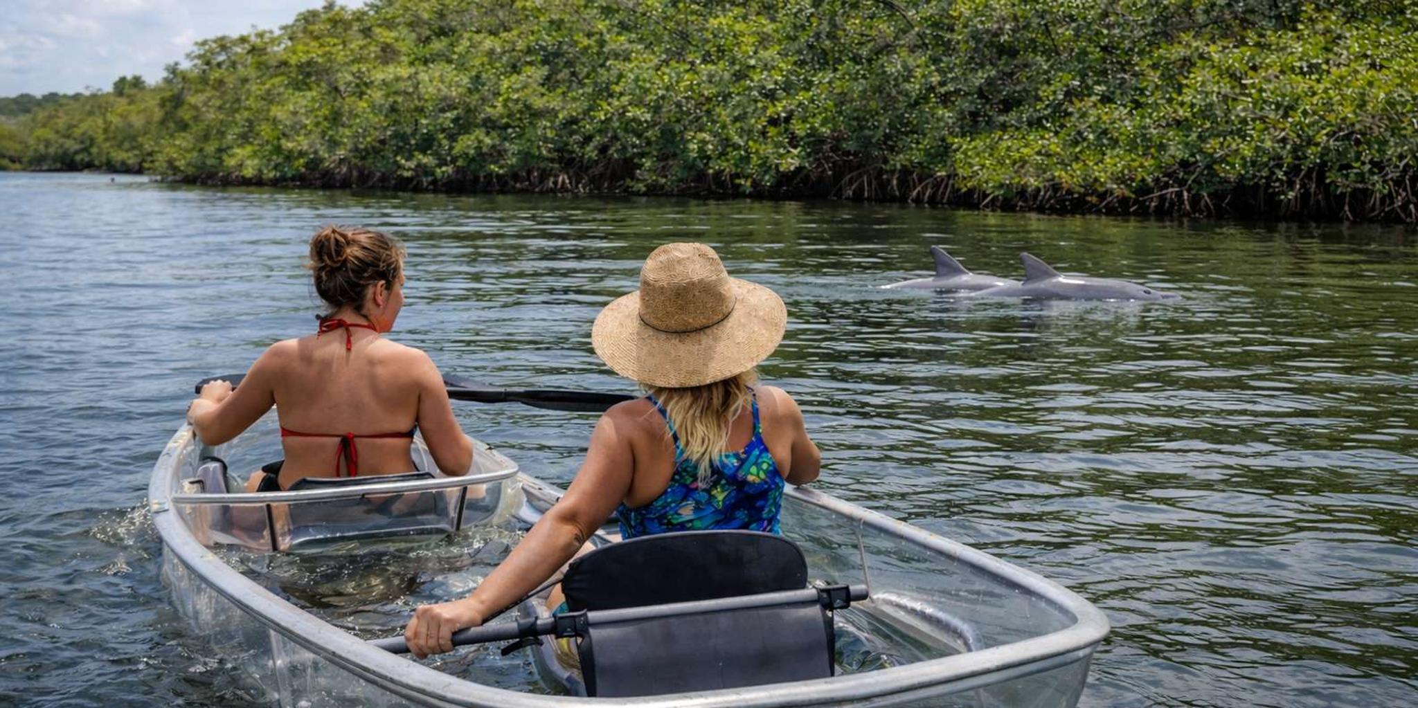 Ocala Clear Kayak or Paddleboard Manatee Adventure - Image 5