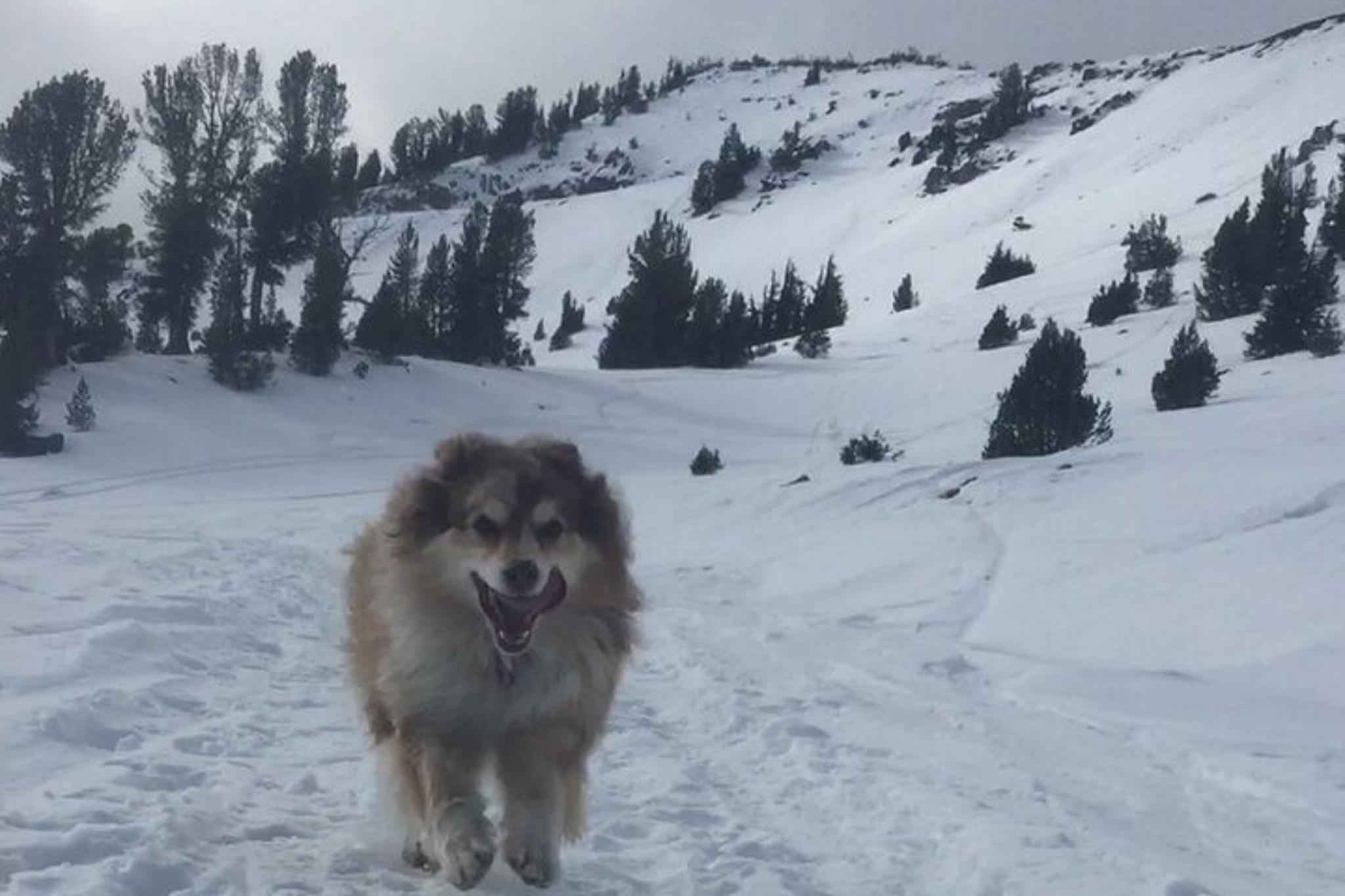 Lake Tahoe Sauna Experience - Image 6