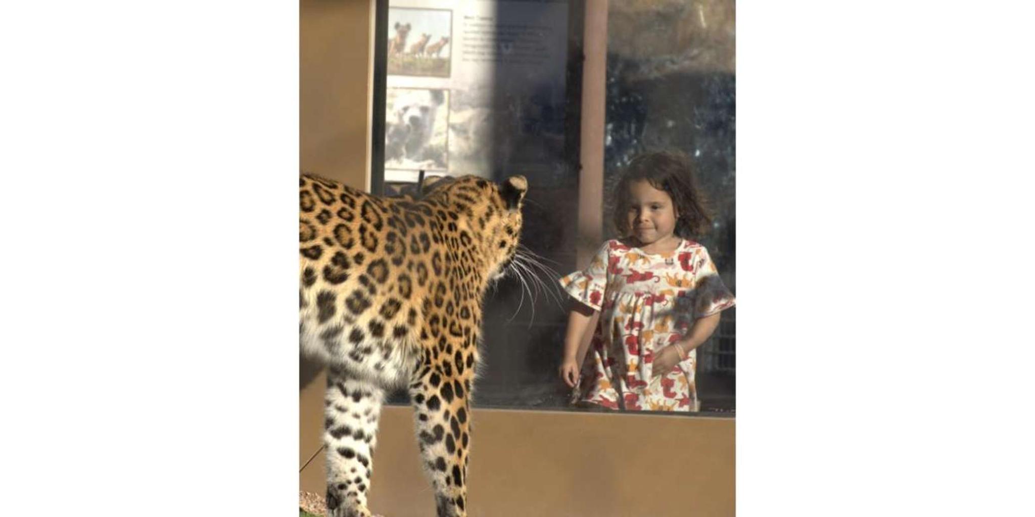 Phoenix Zoo Admission Ticket - Image 4