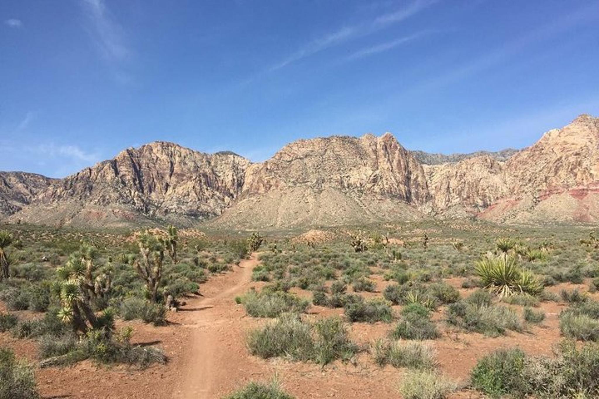 Las Vegas Road Bike Tour of Red Rock Canyon