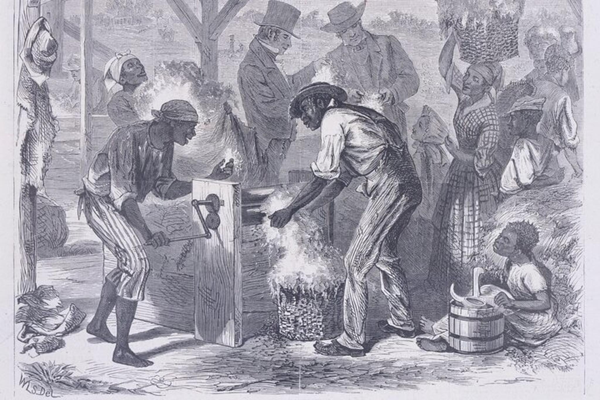 New Orleans History of Slavery Tour - Image 6