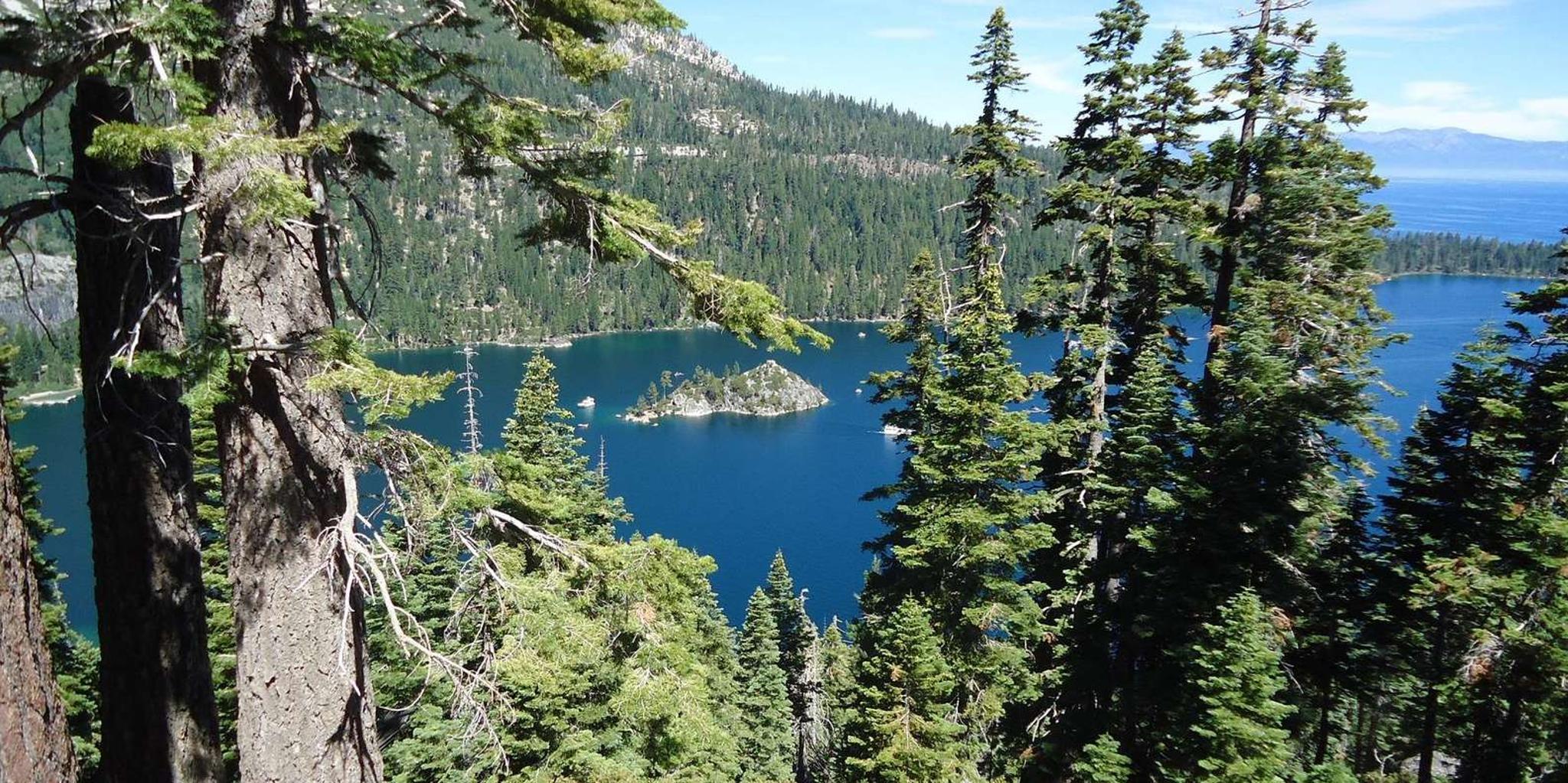 San Francisco Lake Tahoe Private Tour - Image 4
