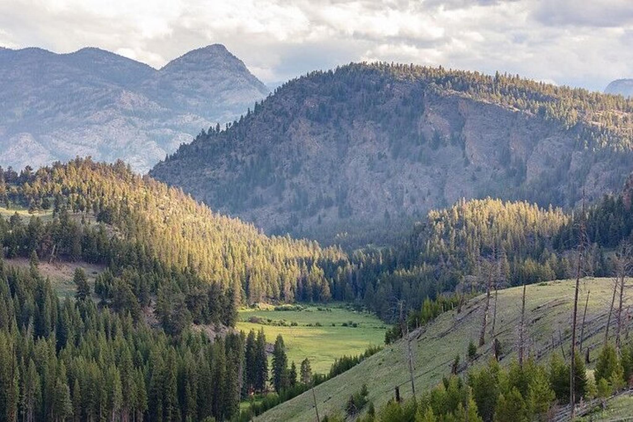 Yellowstone Garnet Hill Loop Naturalist Hike