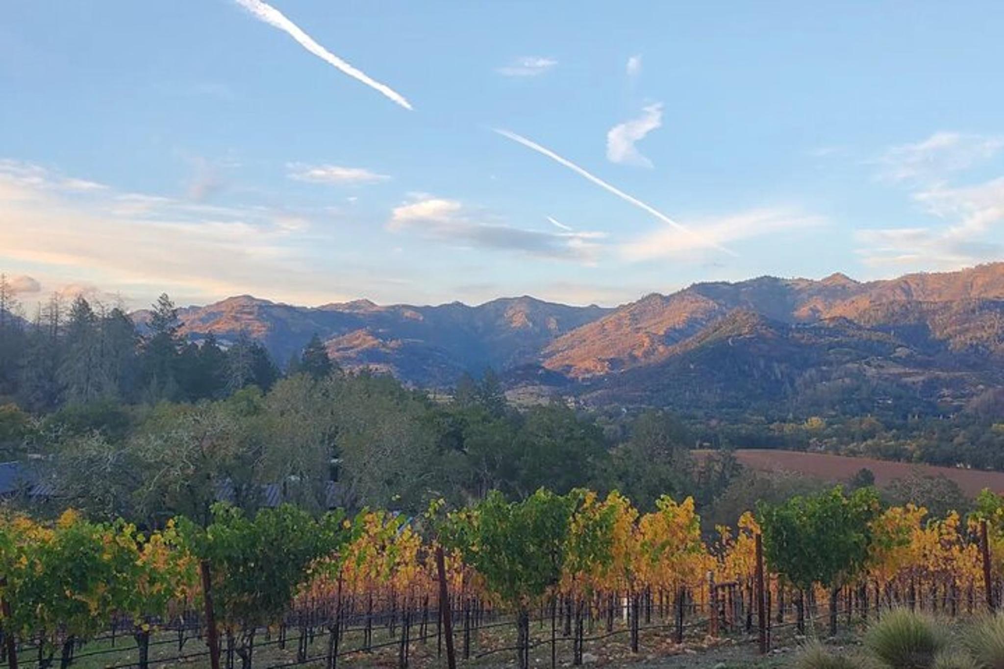 Napa Valley Private Transportation - Image 2