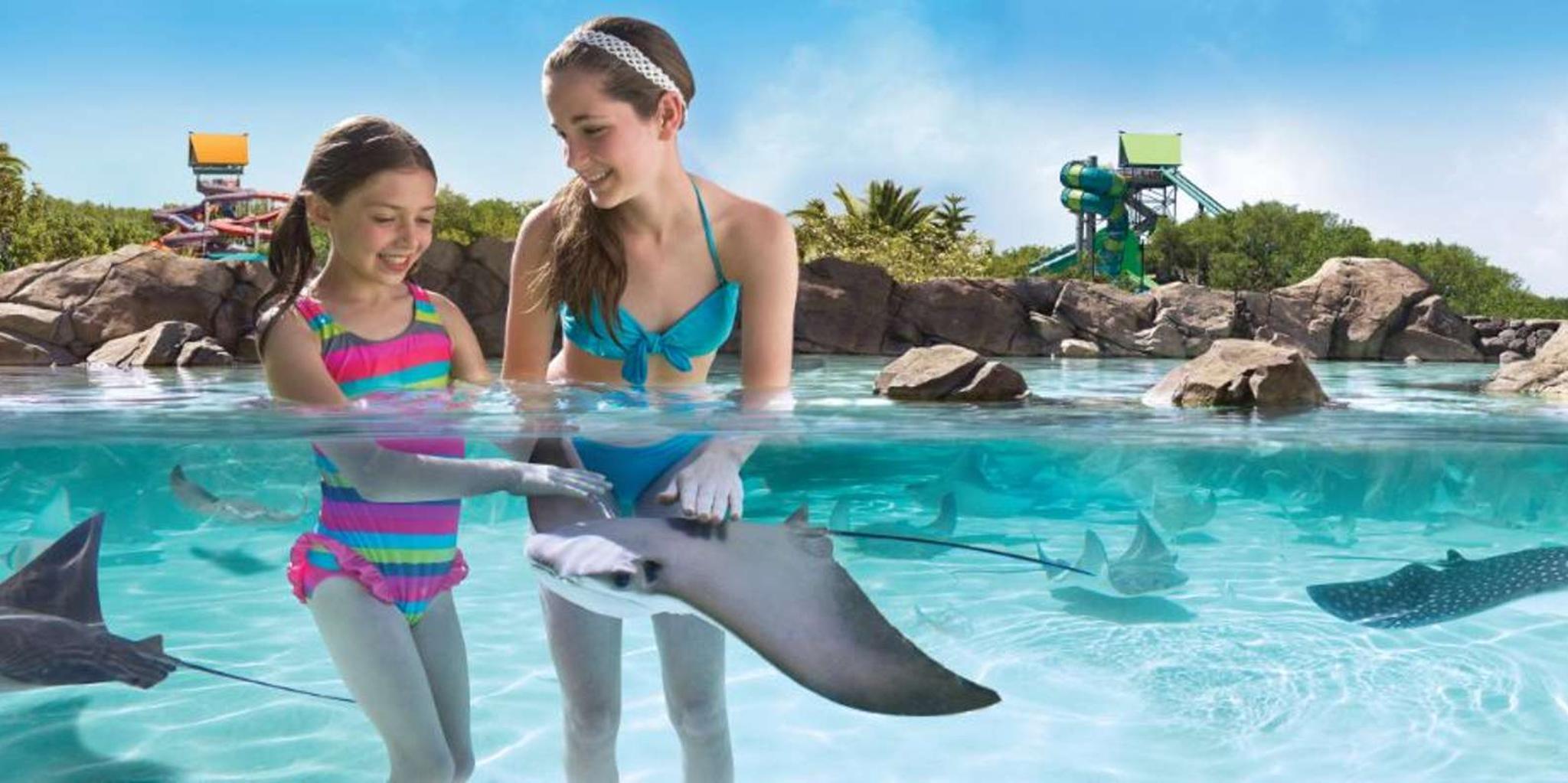 San Antonio Aquatica Park Admission - Image 5