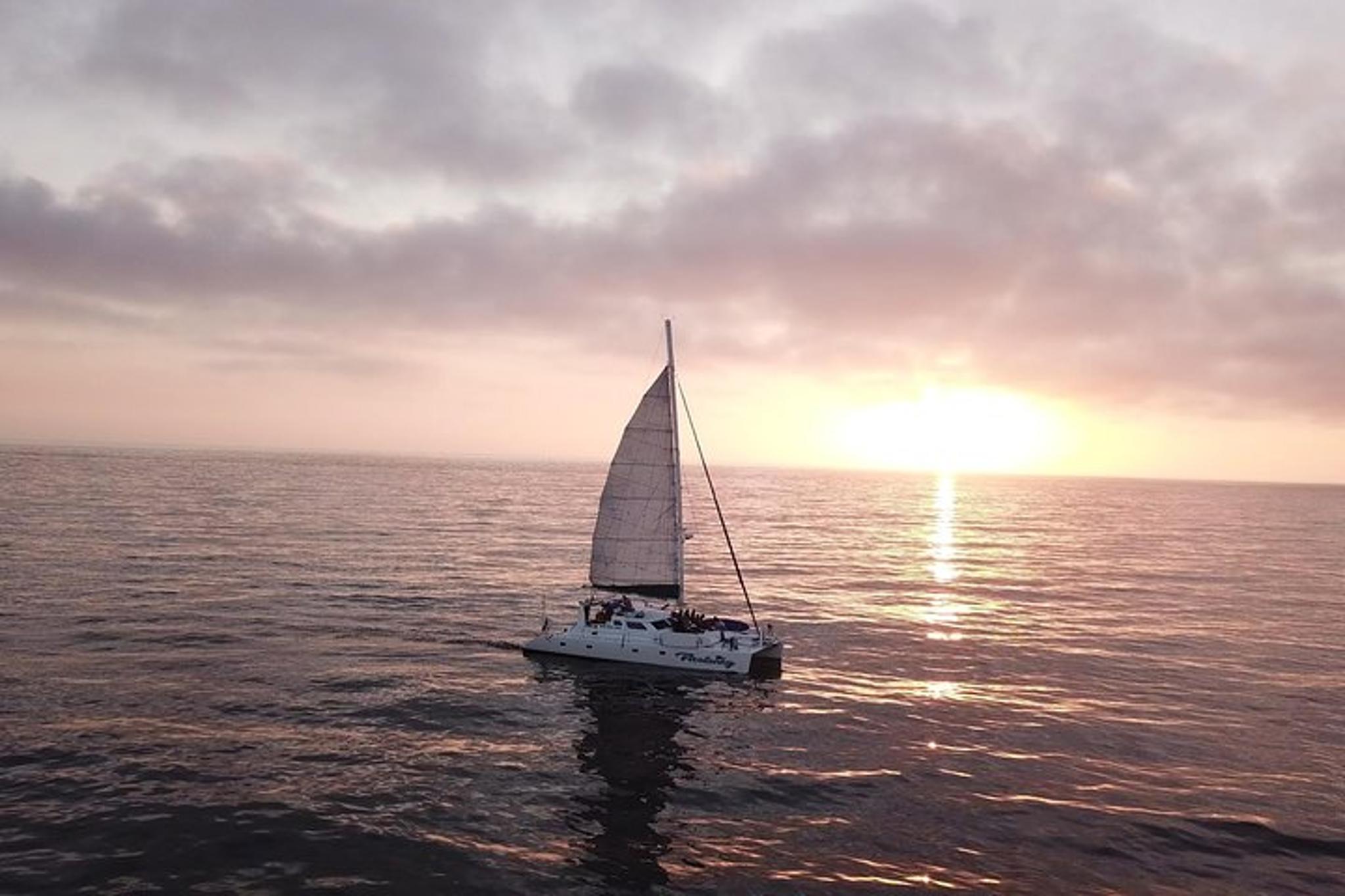 San Diego Catamaran Sailing Charter - Image 6