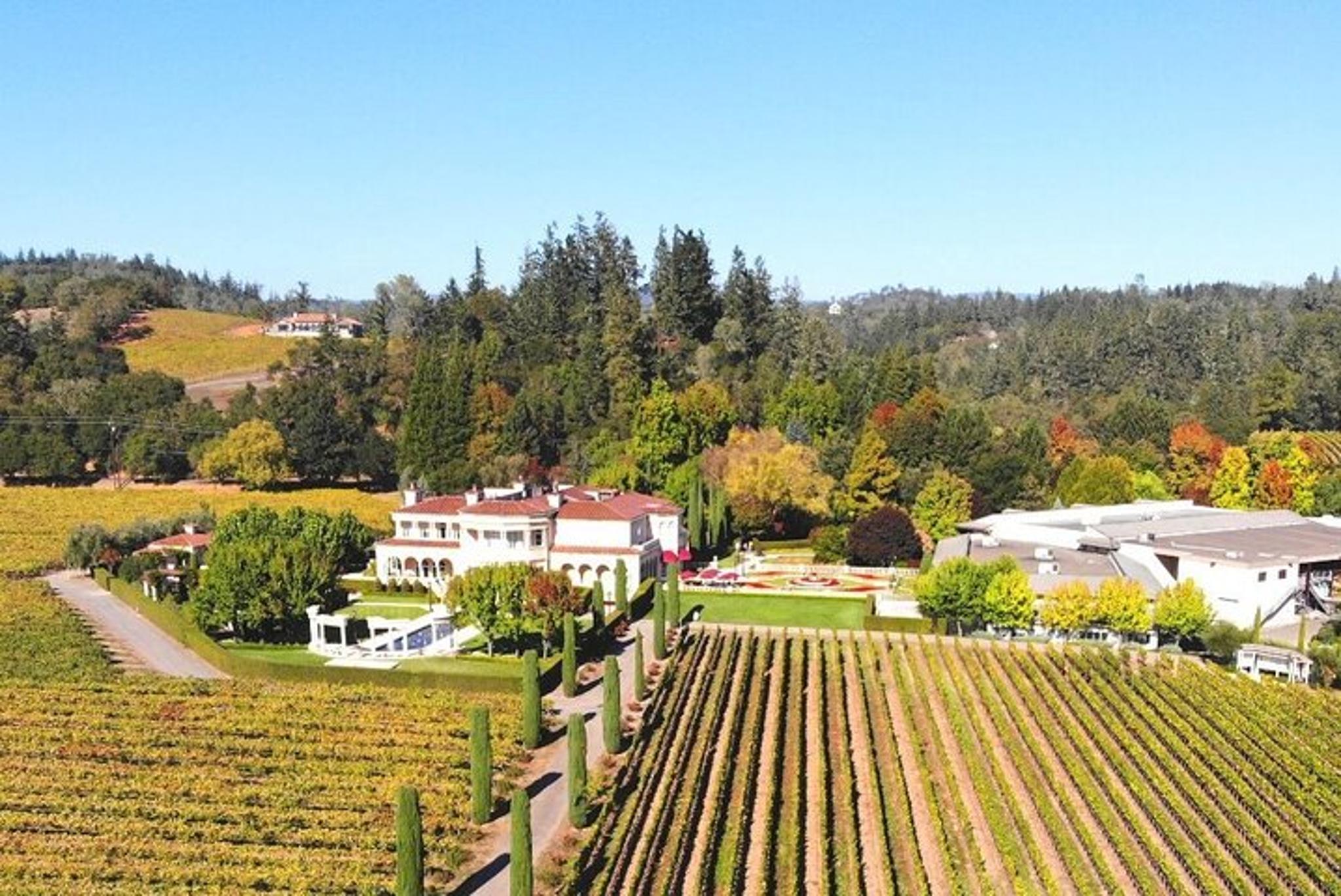 Sonoma Valley Wine Country Custom Tour - Image 4